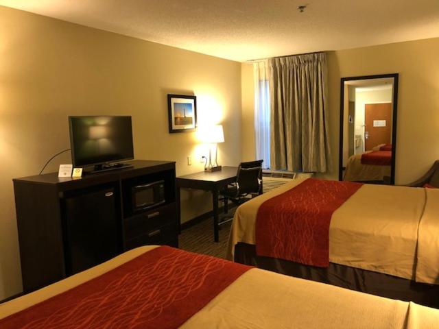 Queen Room with Two Queen Beds - Non-Smoking photo 3