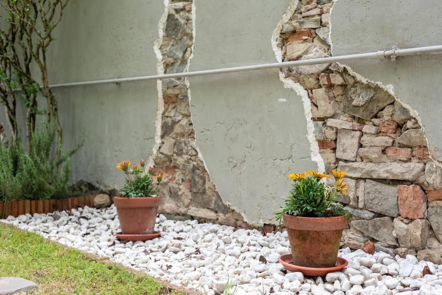 Three-Bedroom Apartment with Garden photo 2