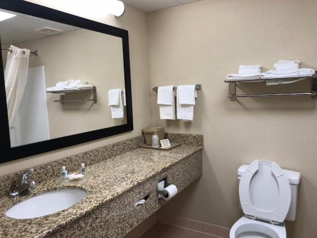 Executive King Suite - Non-Smoking photo 3