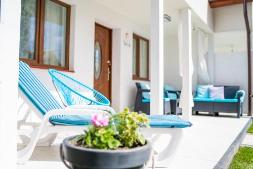 Apartment with Terrace photo 3