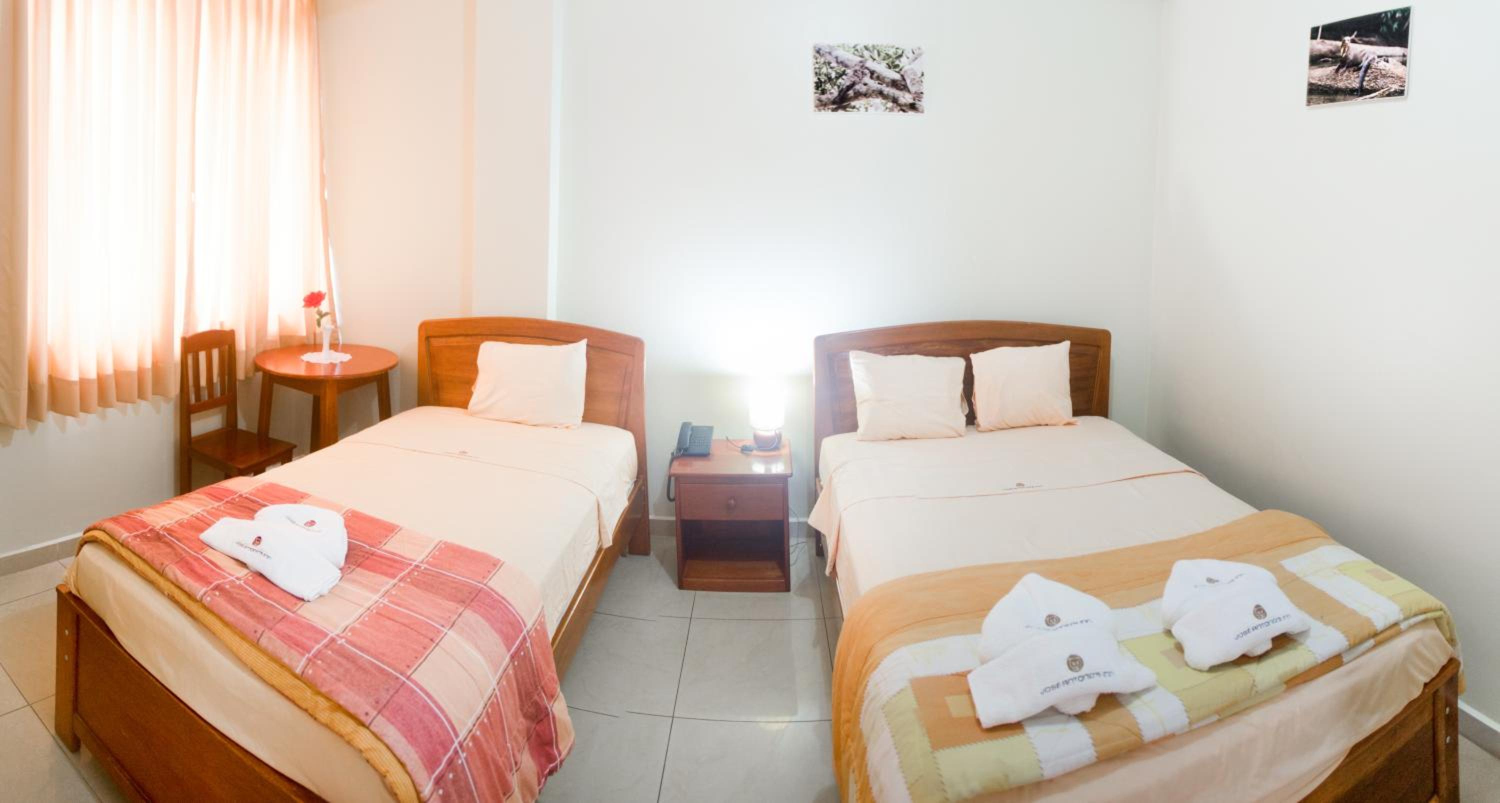 Twin Room photo 2