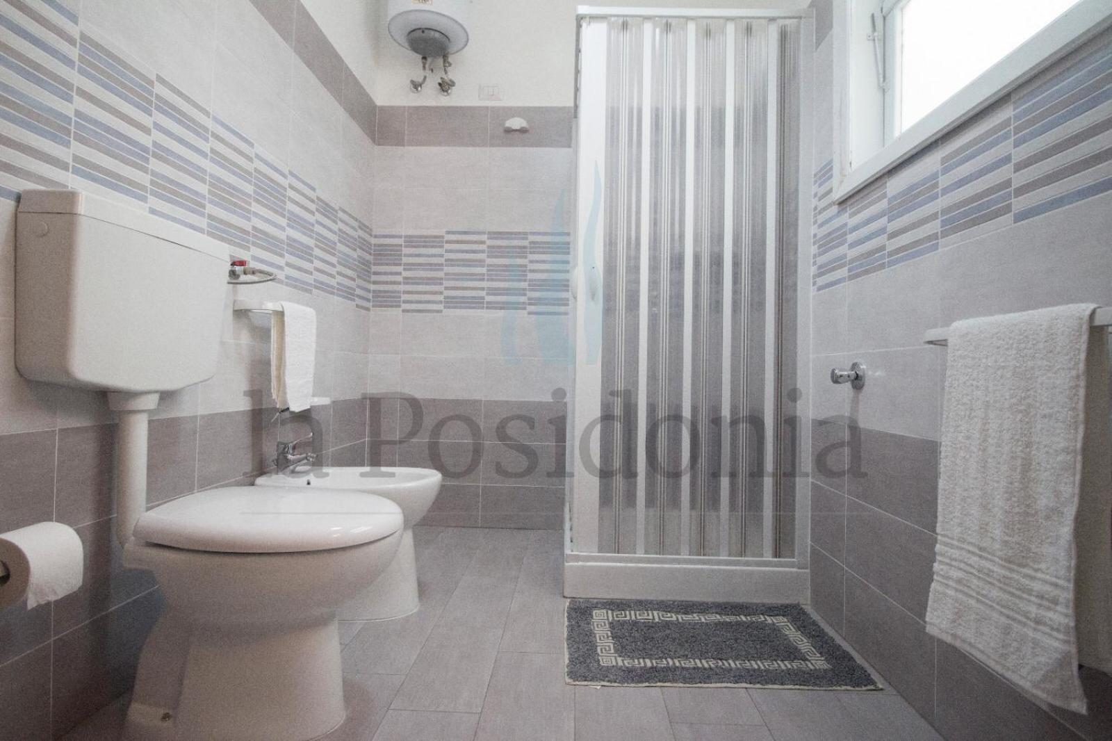 Apartment with Terrace photo 2