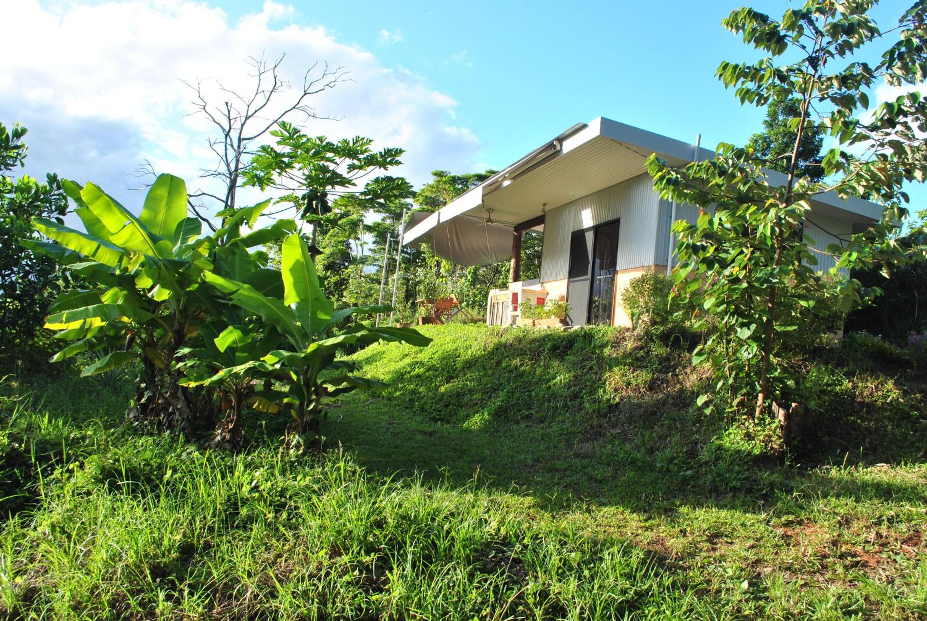 Deluxe Bungalow photo 2