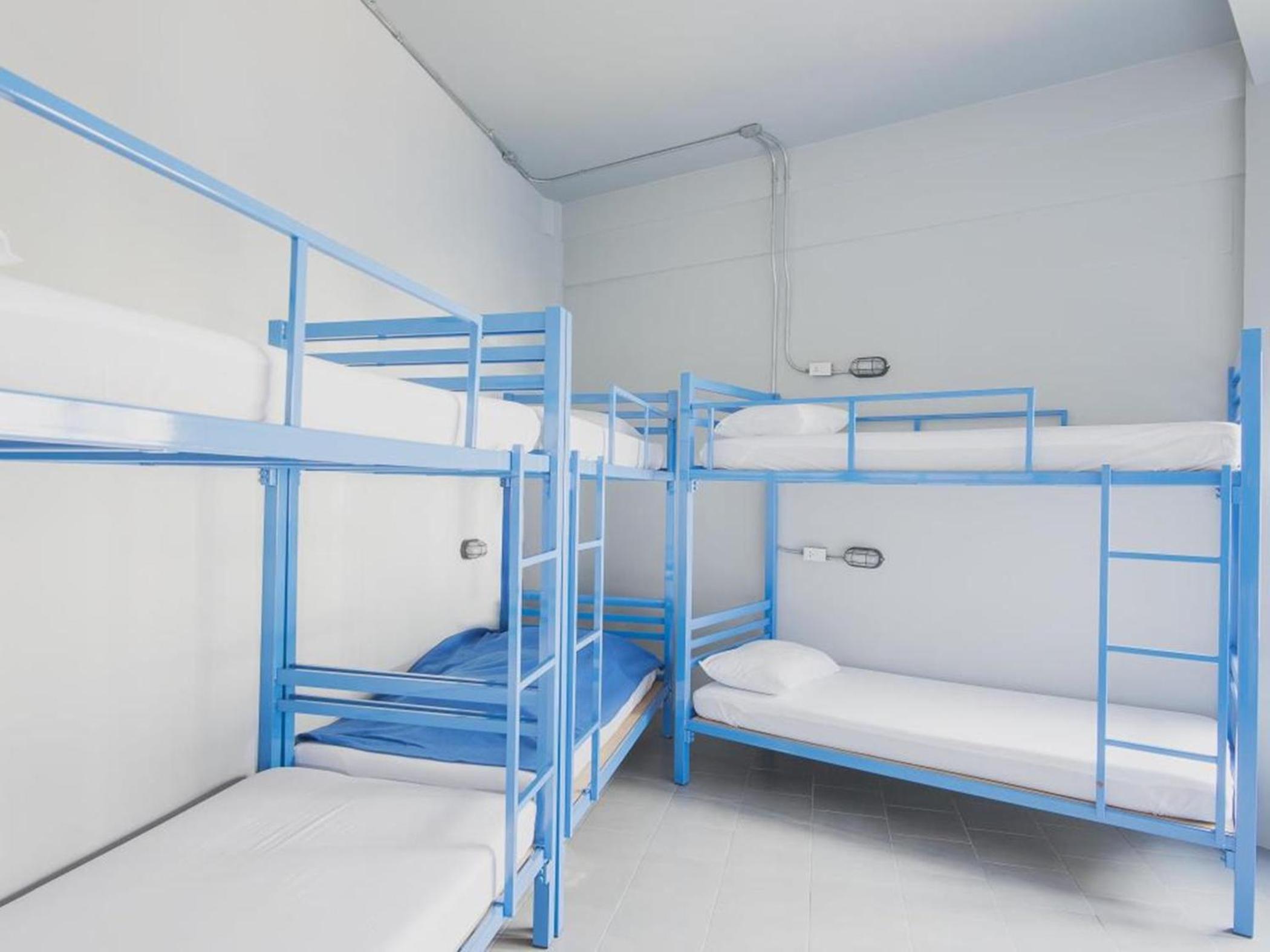 Bunk Bed in 8-Bed Female Dormitory Room photo 3