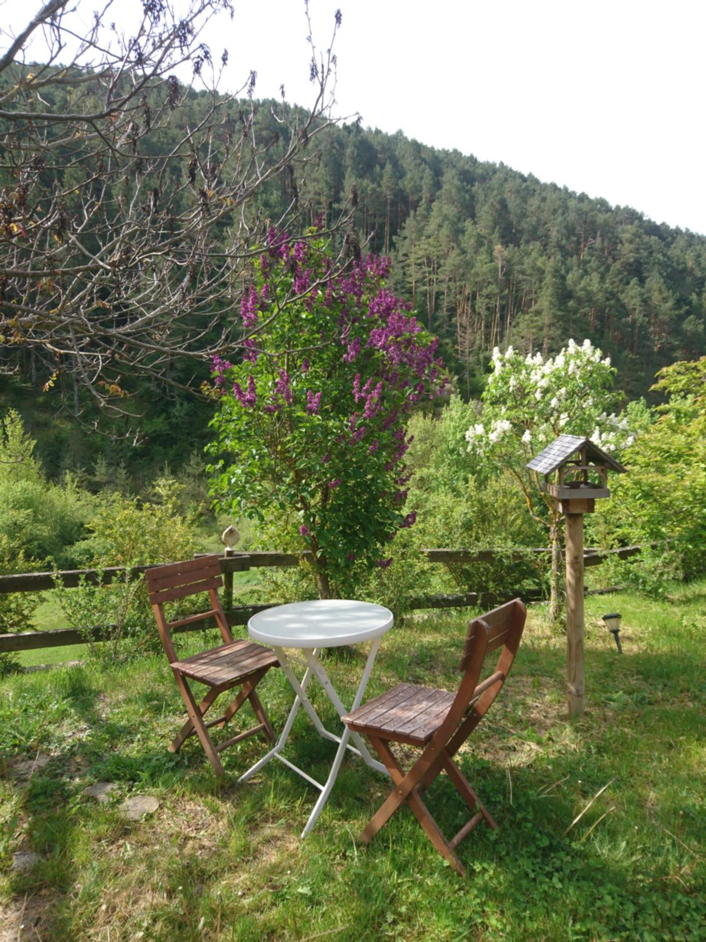 Apartment with Terrace photo 2