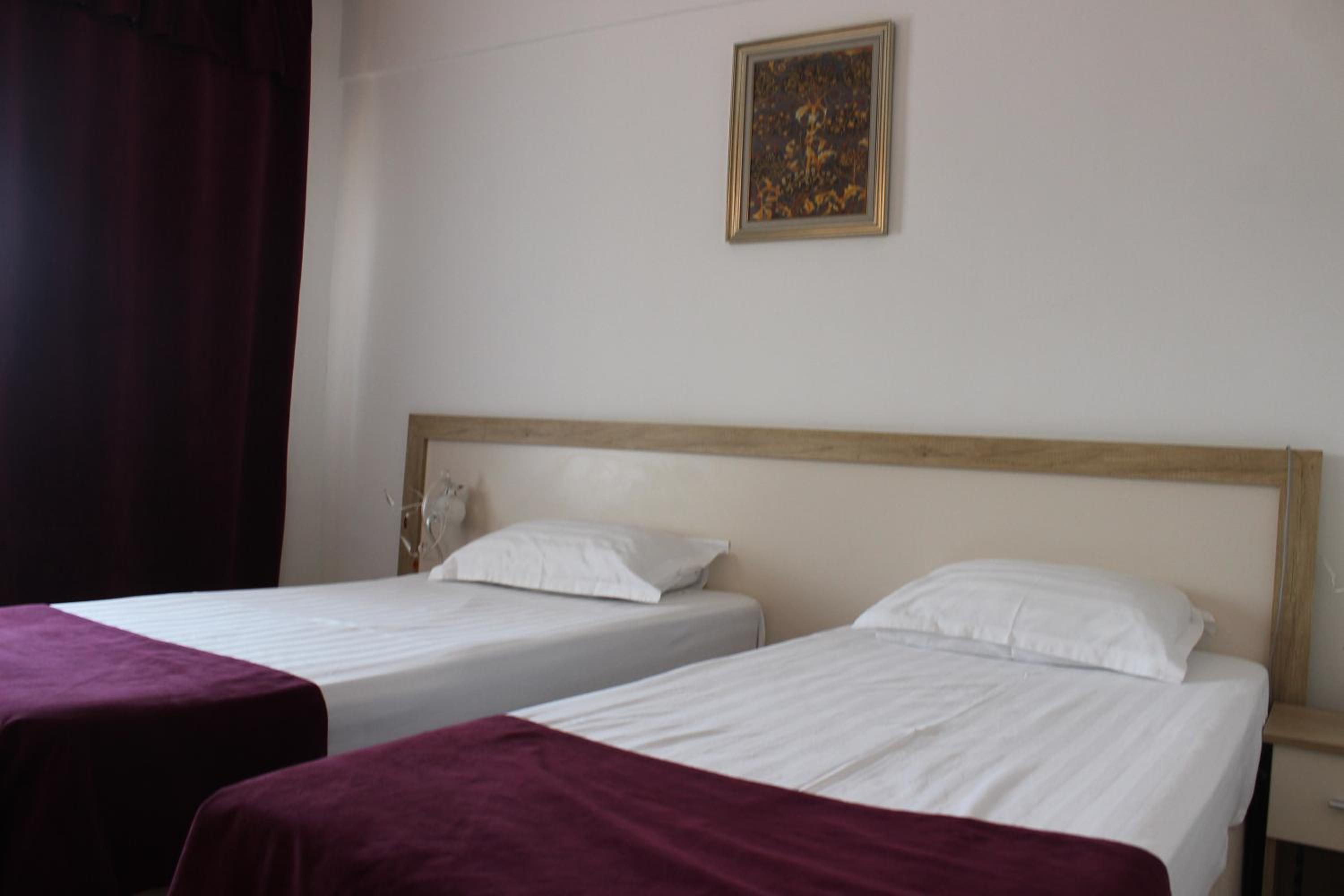 Double or Twin Room with Balcony photo 2
