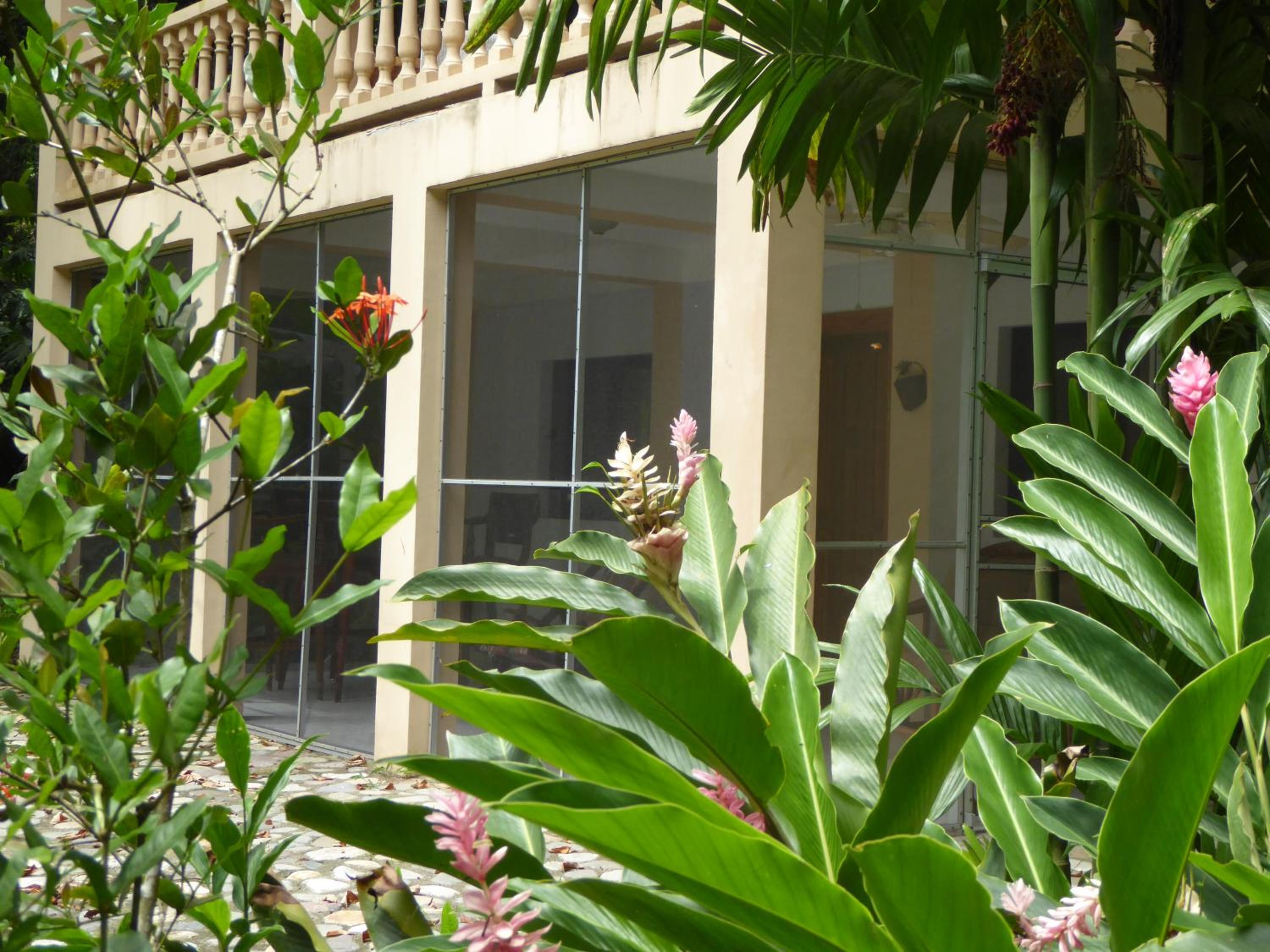 One-Bedroom Villa photo 1