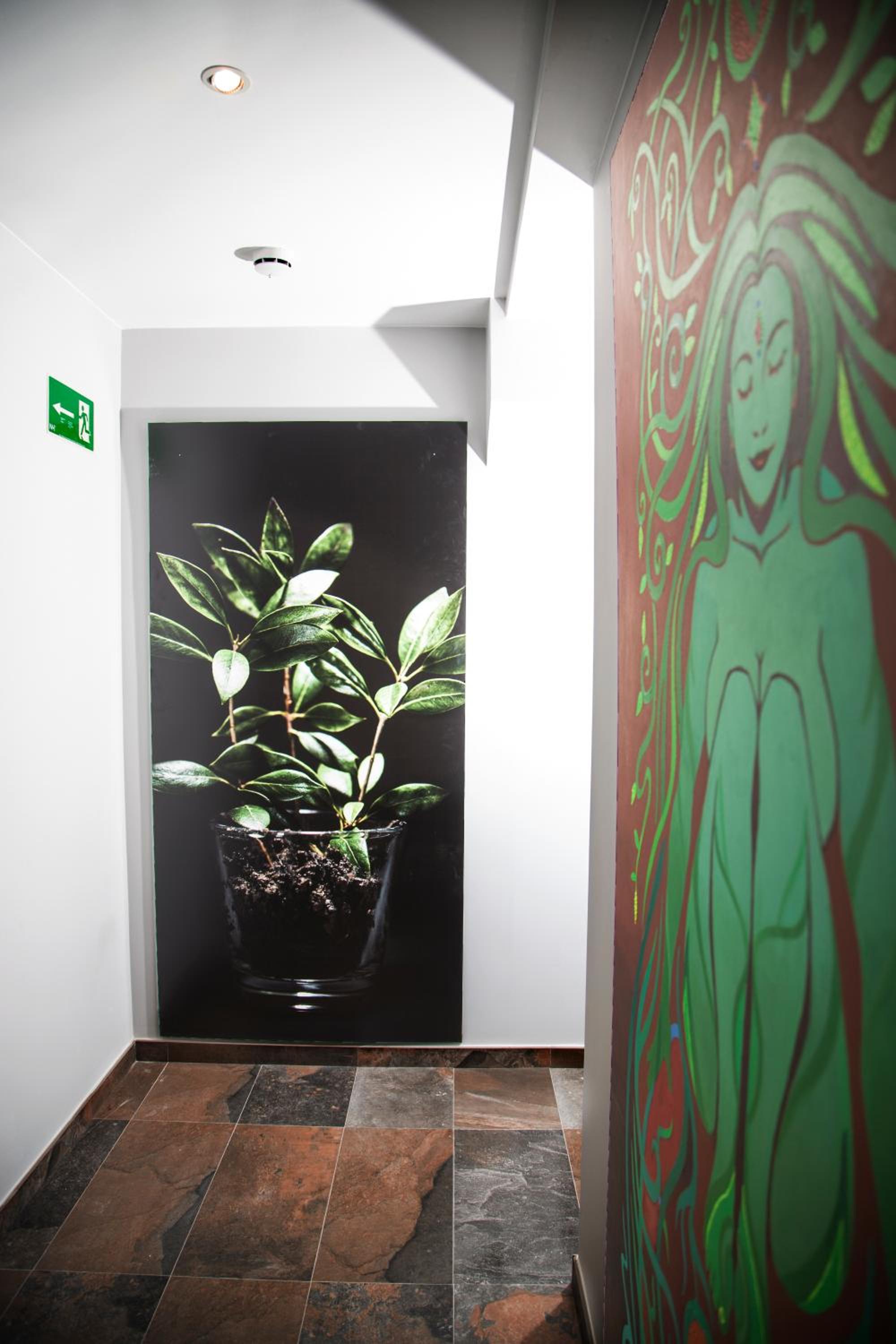 Double Room - Disability Access - Photo 3