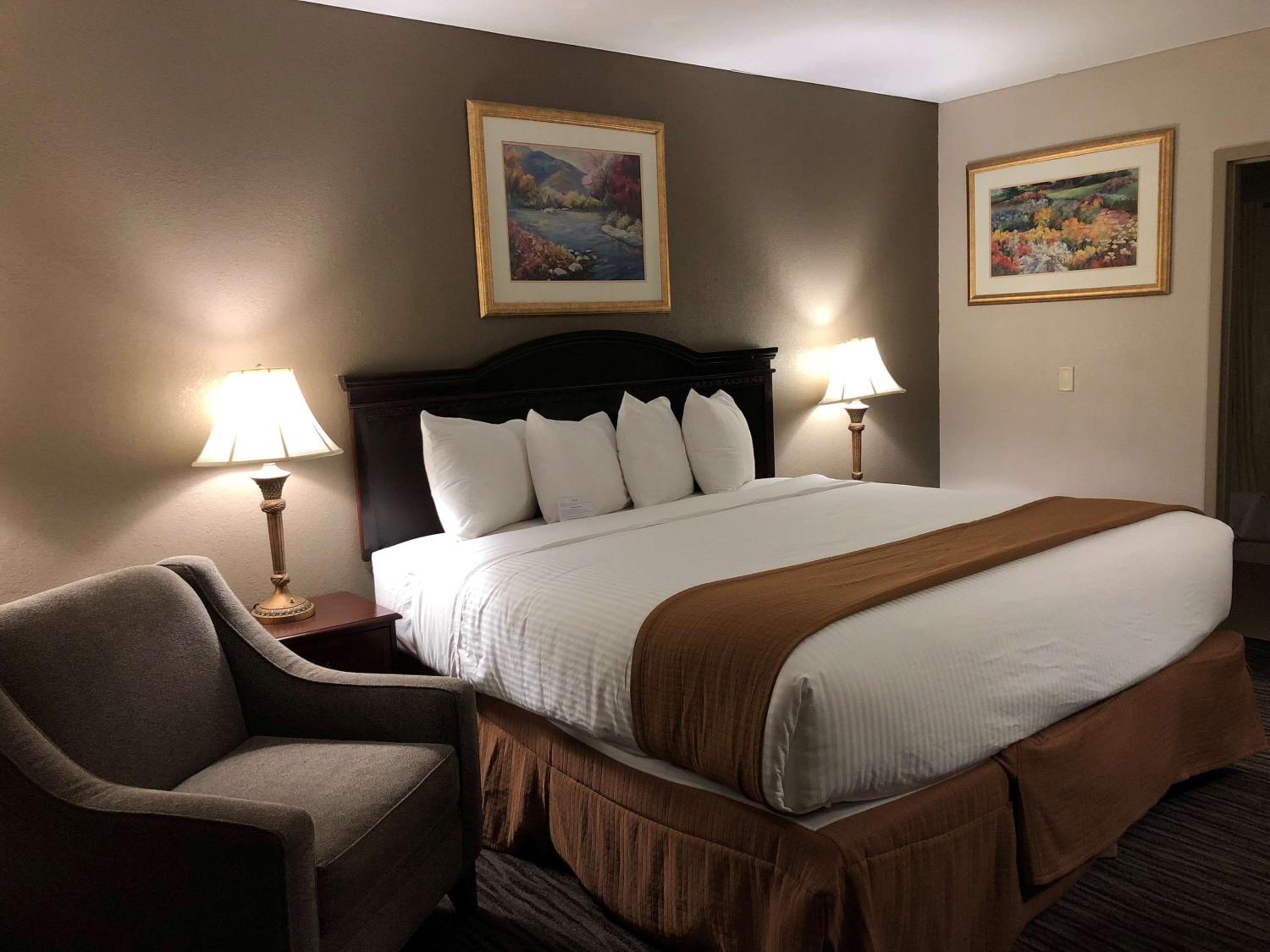 King Room - Pet Friendly/Non-Smoking - Photo 7