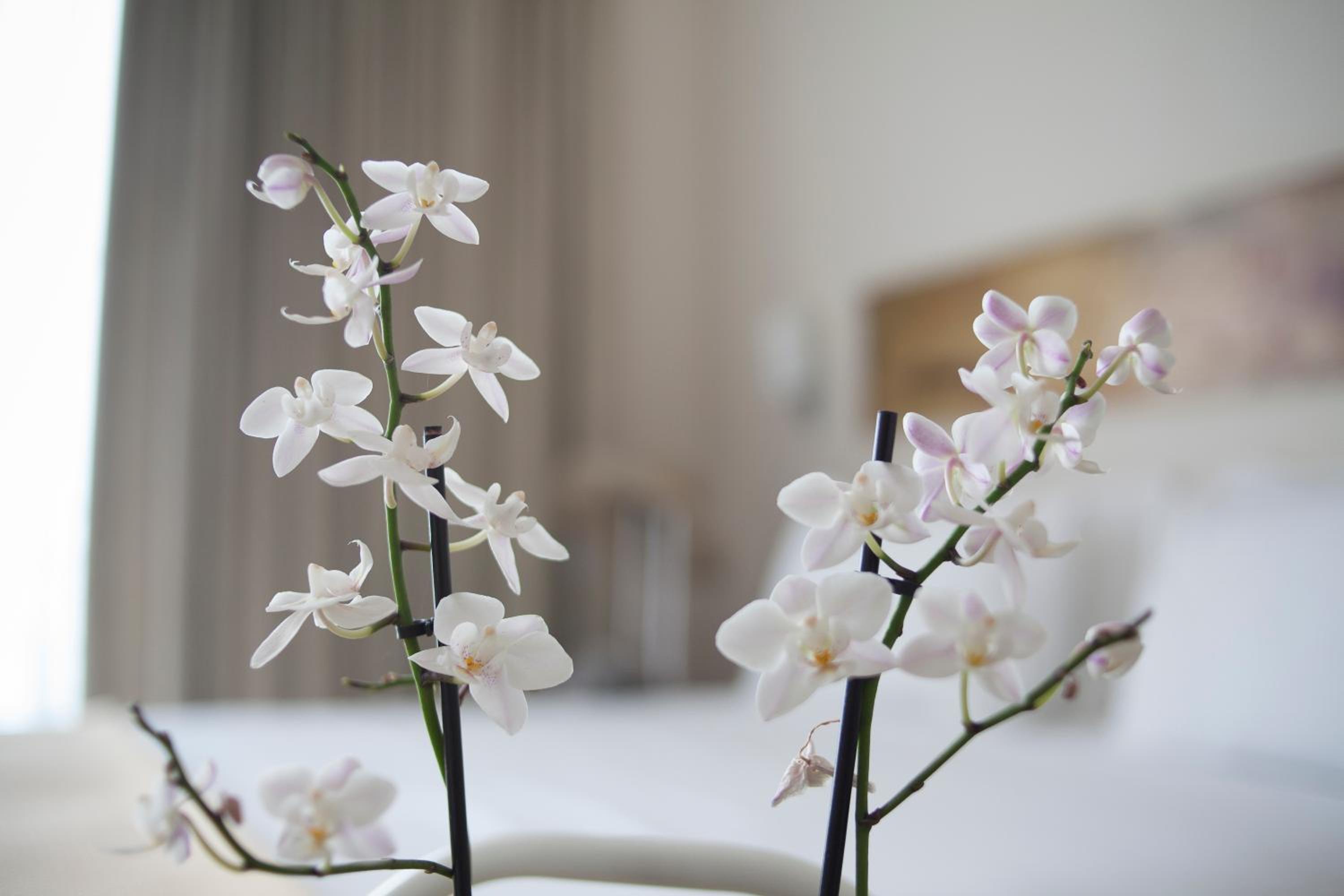 Double Room with Garden View - Photo 7