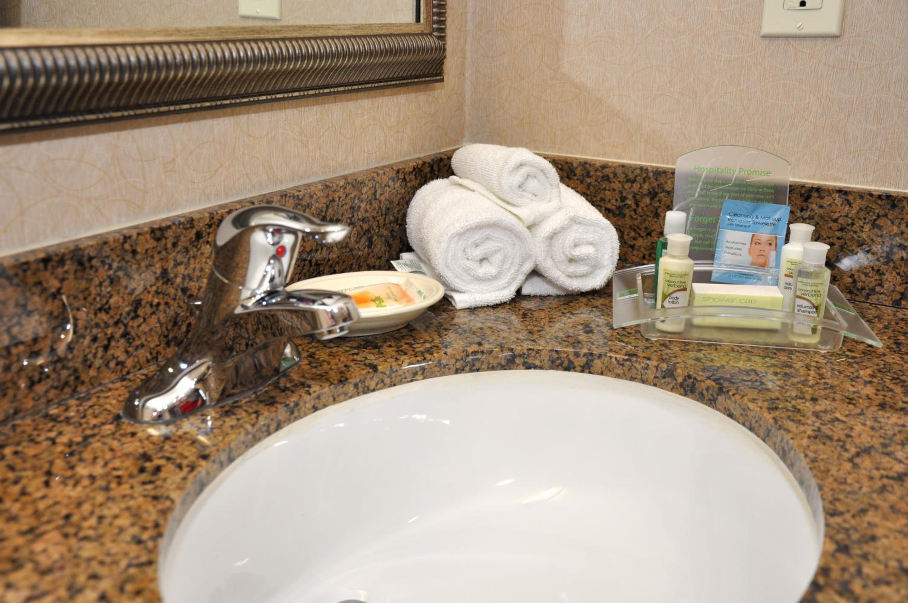 King Room - Hearing Accessible - Roll-in Shower - Photo 5