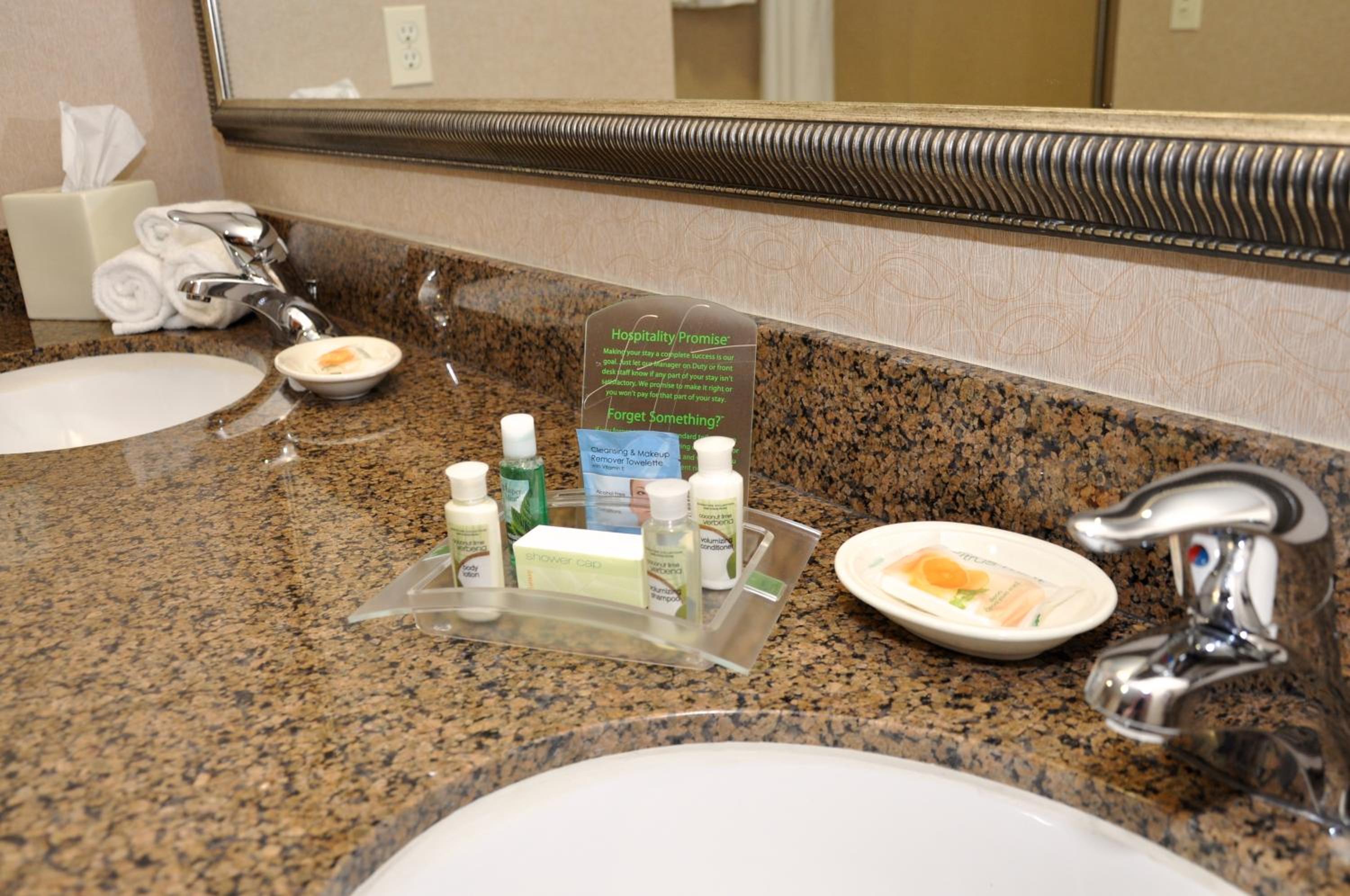 King Room - Hearing Accessible - Roll-in Shower - Photo 6