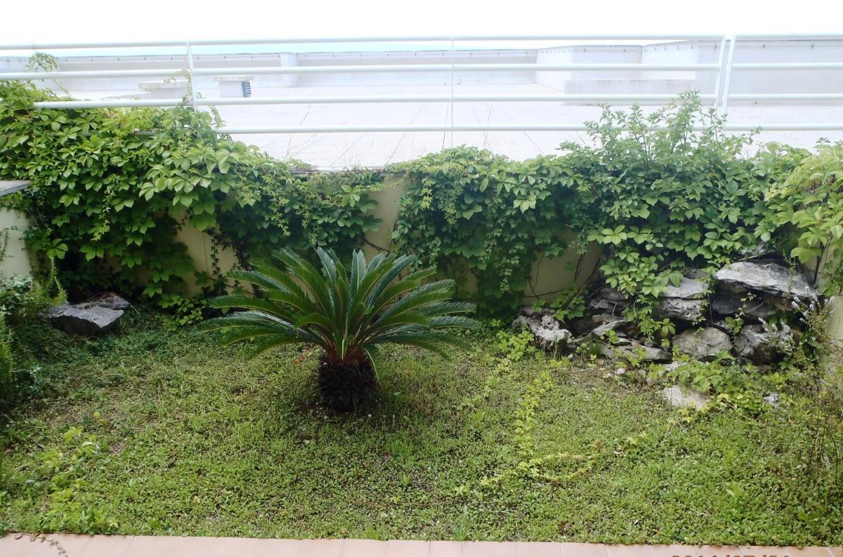 Studio Apartment with Patio