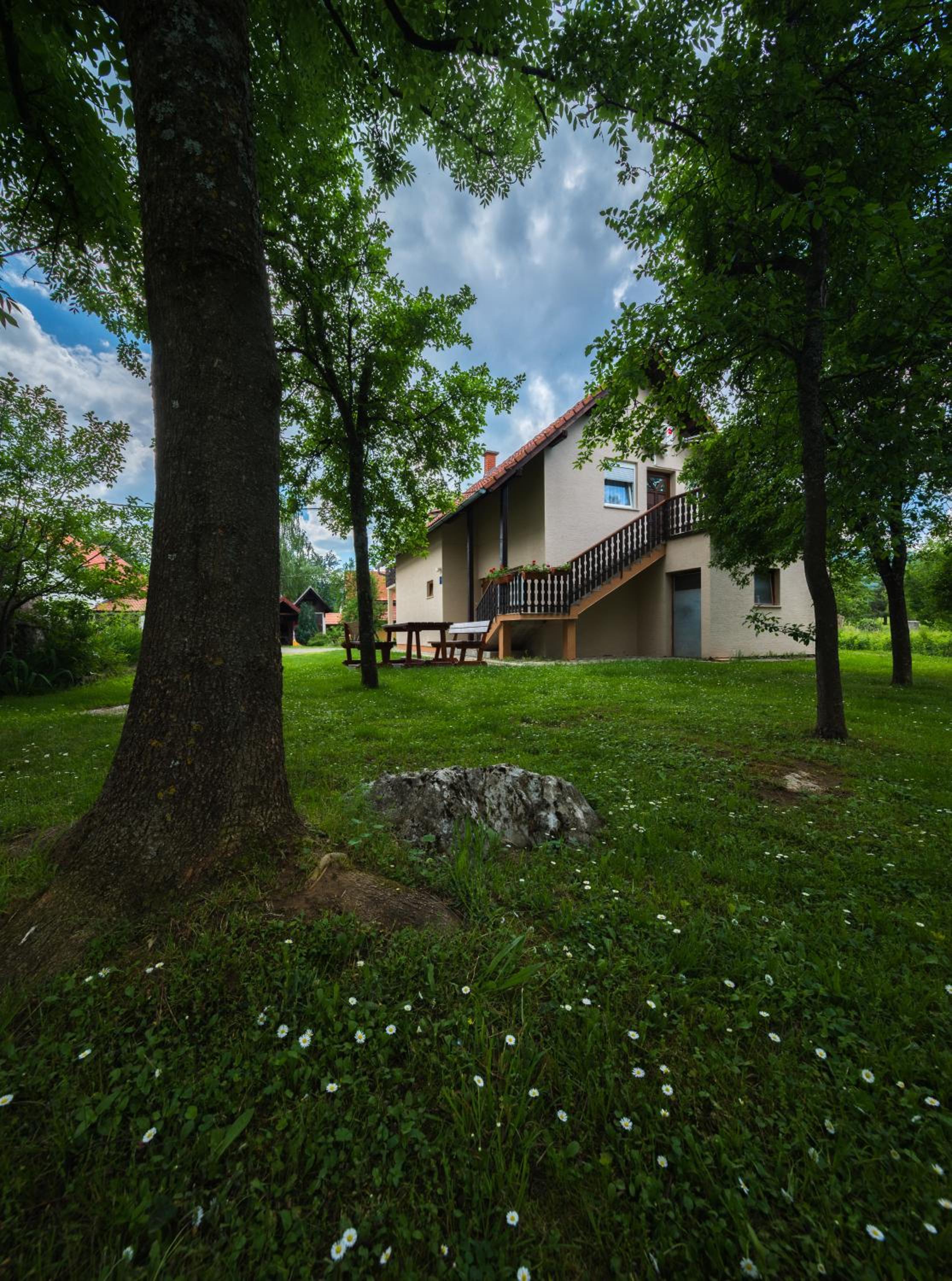 Apartment - Ground Floor - Photo 2