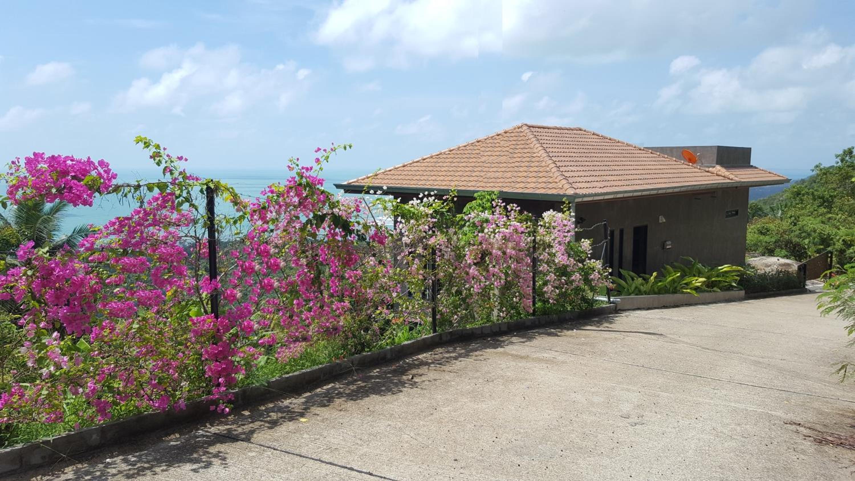 Villa with Sea View photo 3
