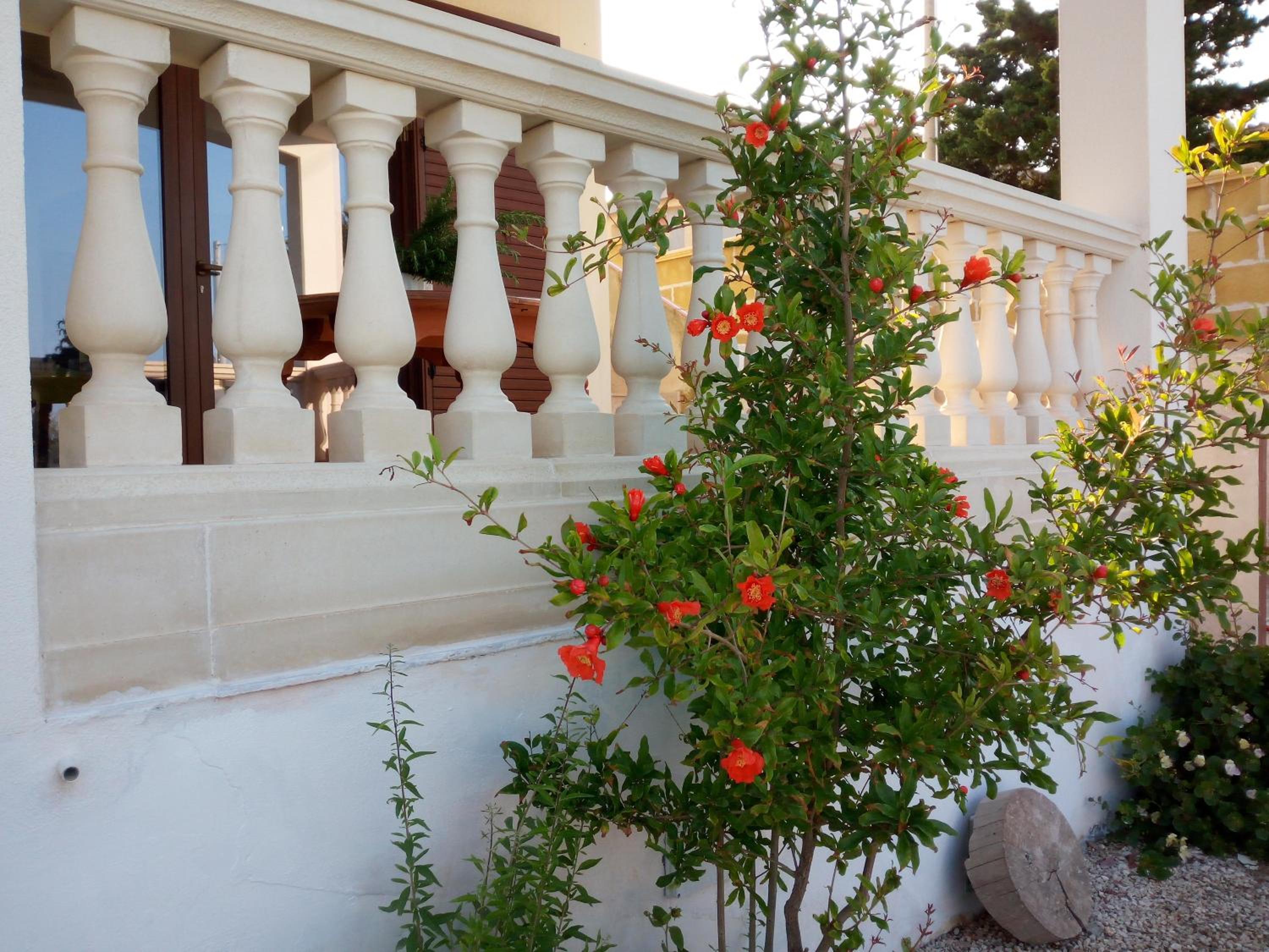 Studio with Terrace and Sea View photo 3