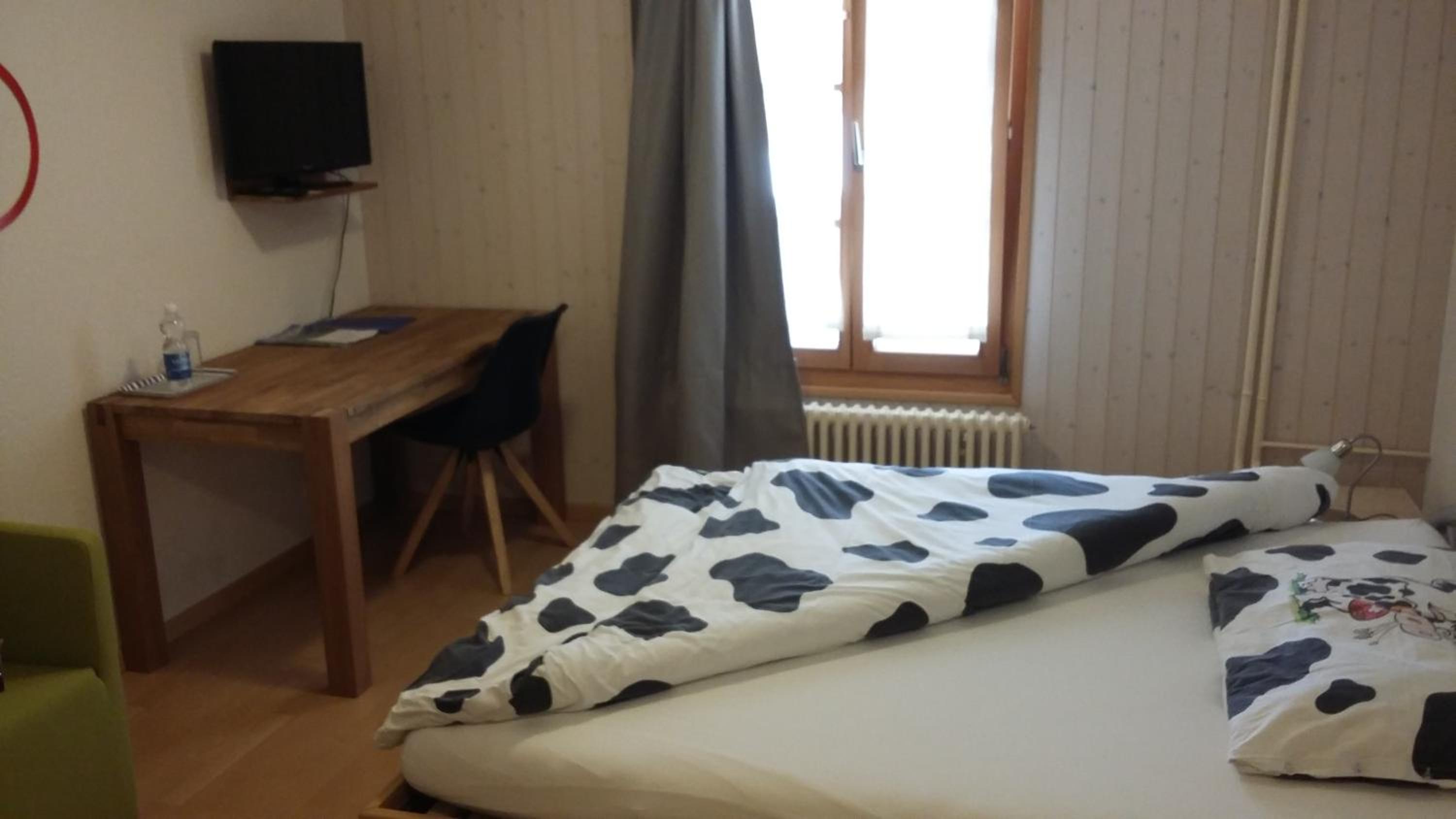 Single Room photo 2