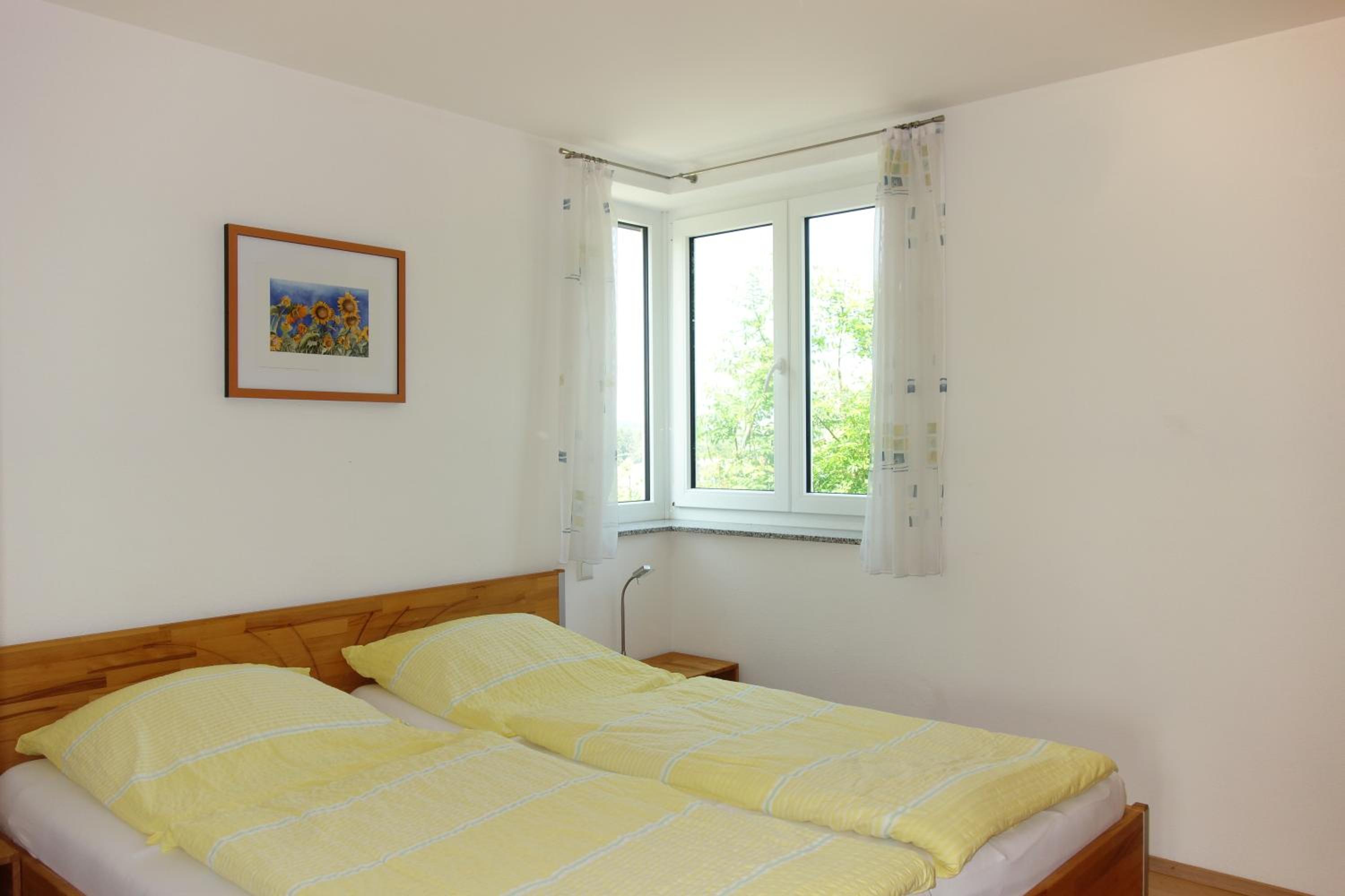 Apartment with Terrace photo 2