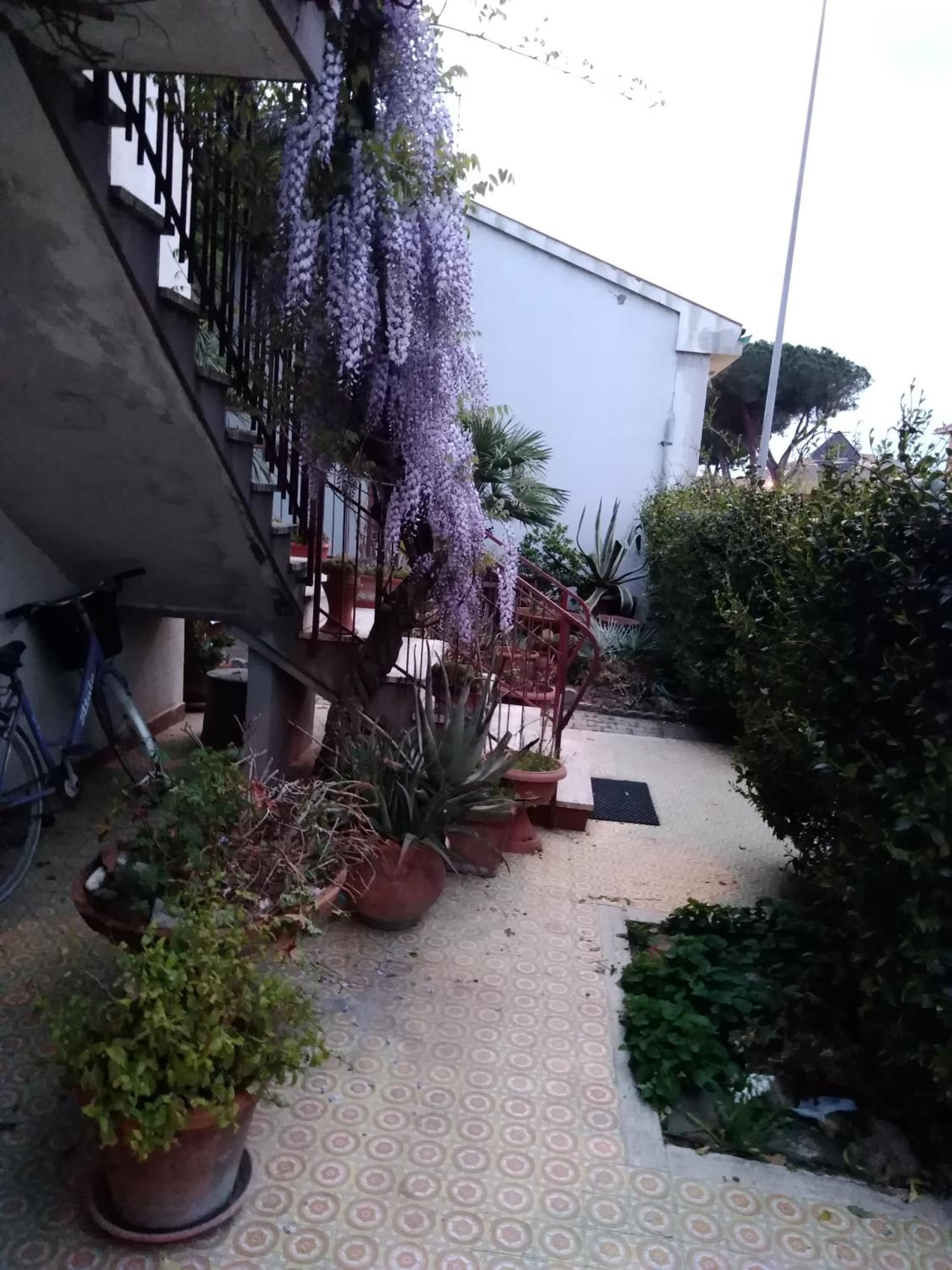 Apartment with Garden View - Photo 16