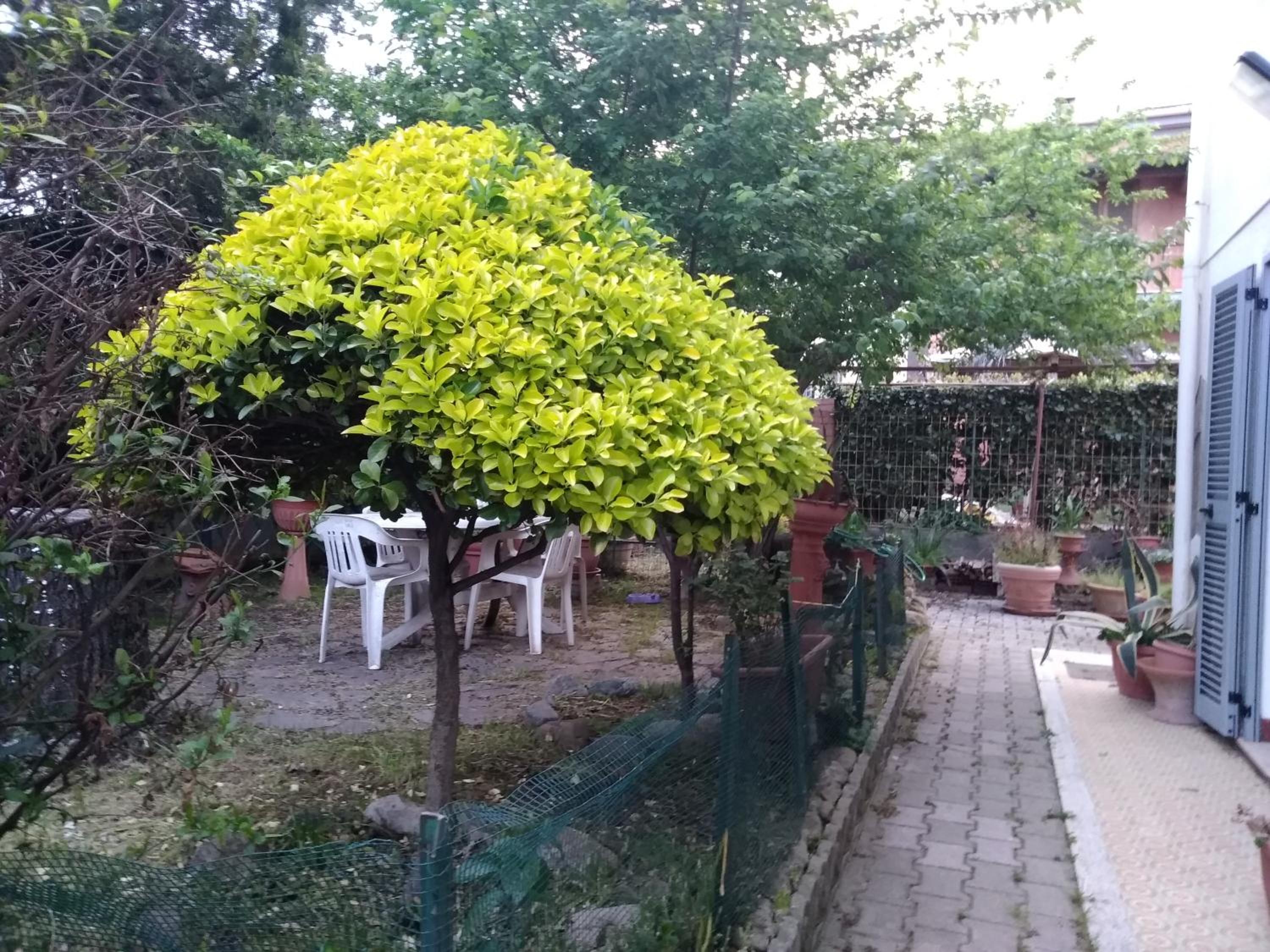 Apartment with Garden View - Photo 17