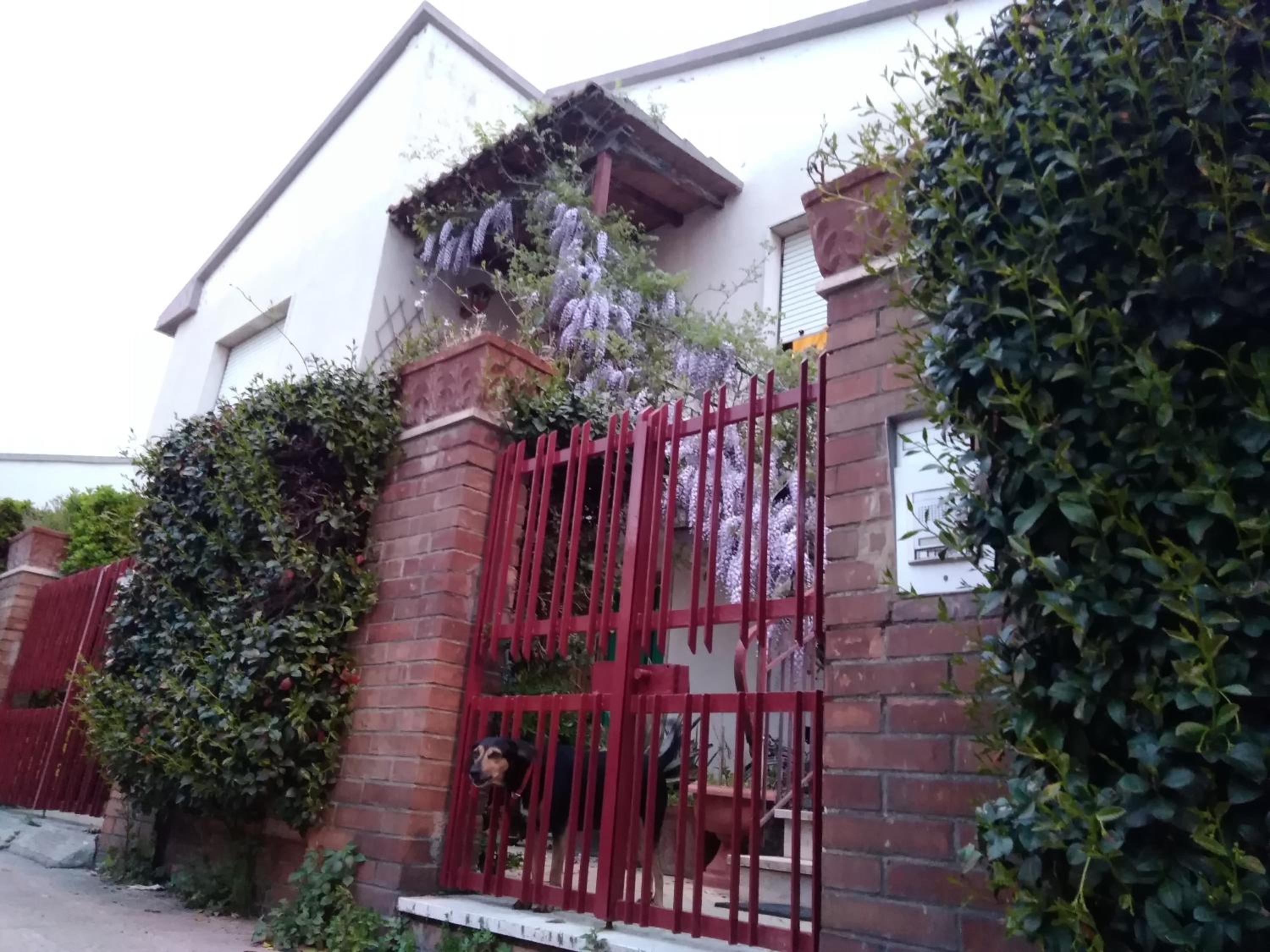 Apartment with Garden View - Photo 6