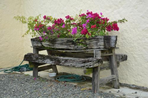 Holiday Home photo 1