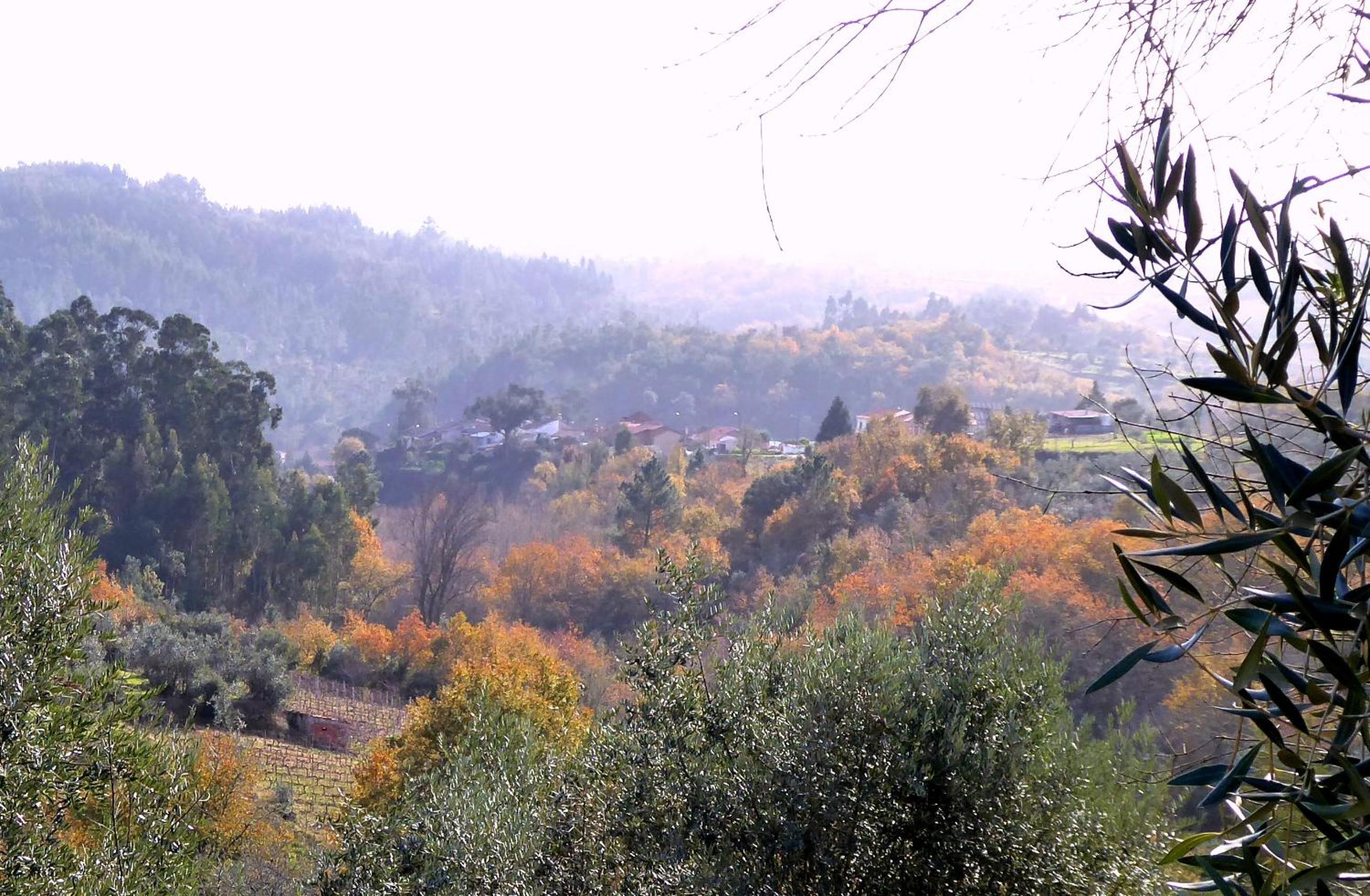 Vacation Home - Photo 10