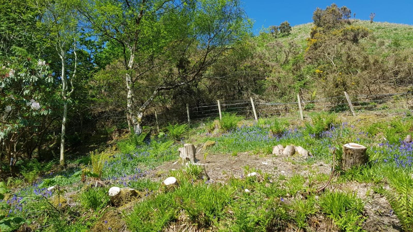 Double Room with Private Bathroom - Garden View - Photo 10