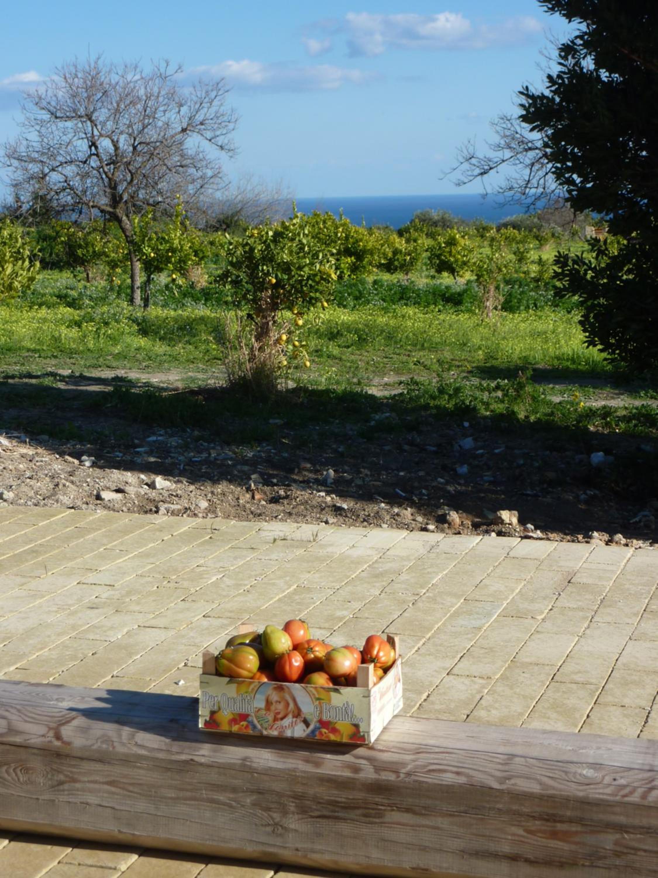 Apartment With Sea View