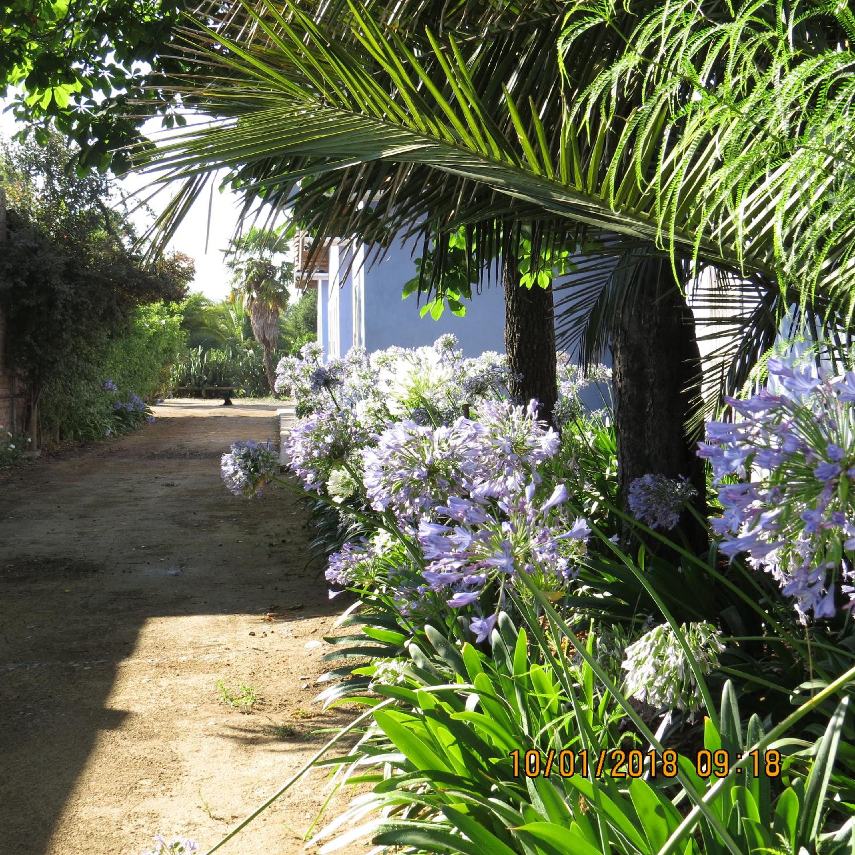 Deluxe Double or Twin Room with Garden View photo 1