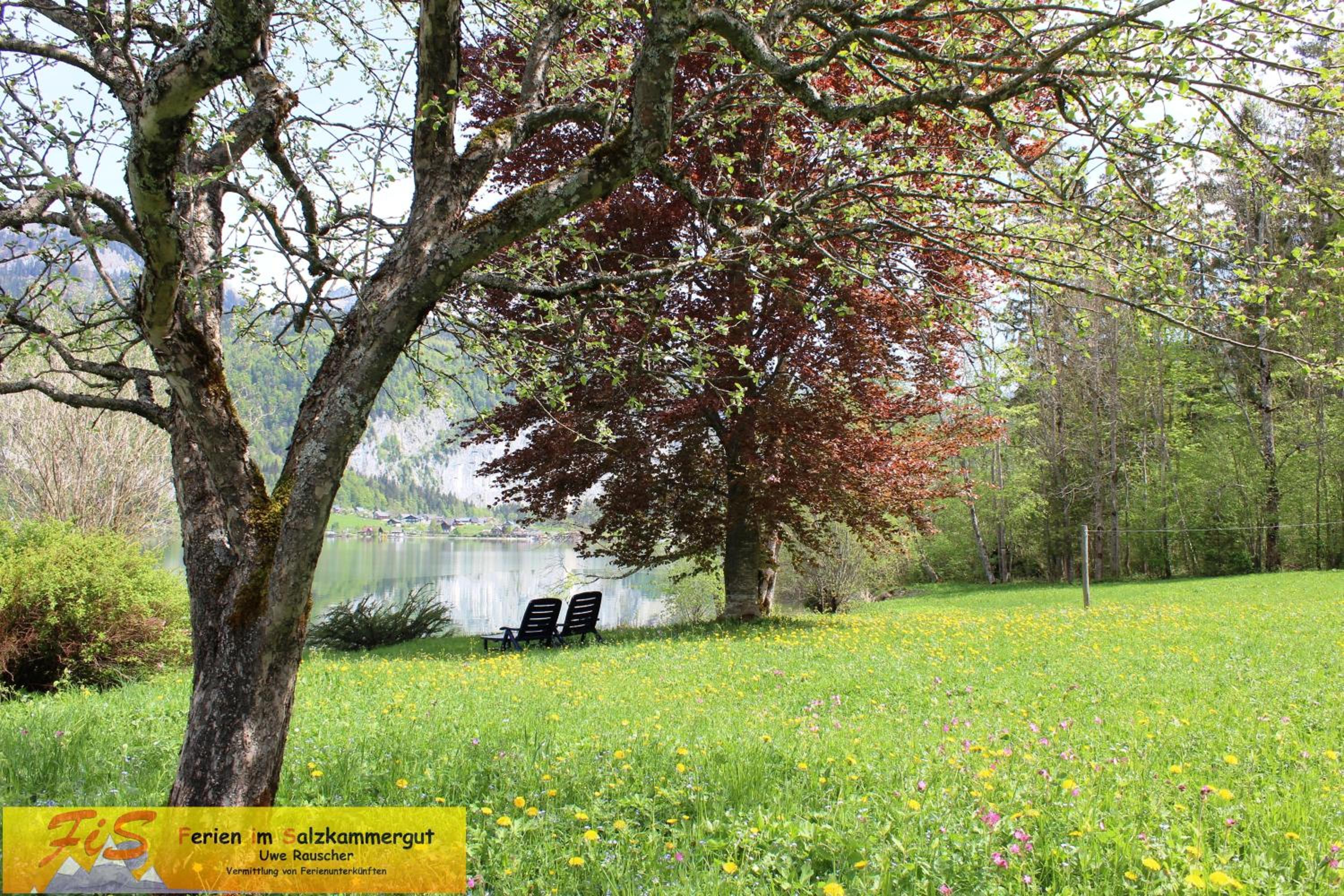 Vacation Home photo 3