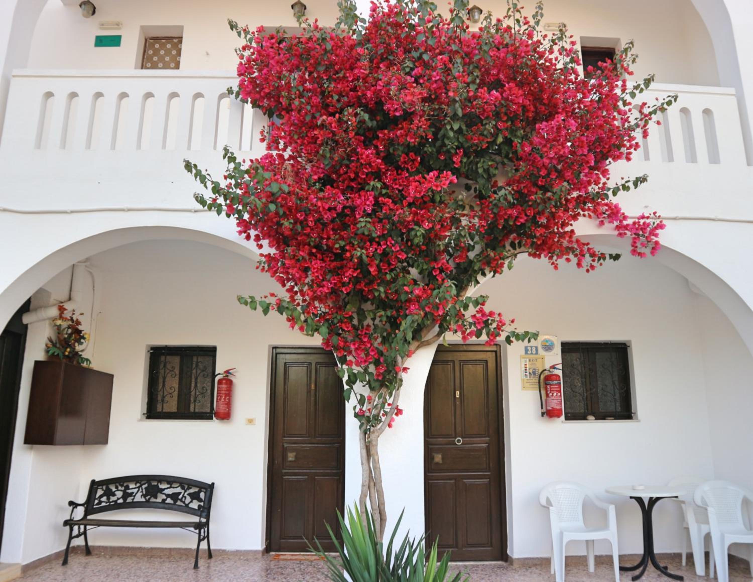 Apartment with Balcony - Photo 4