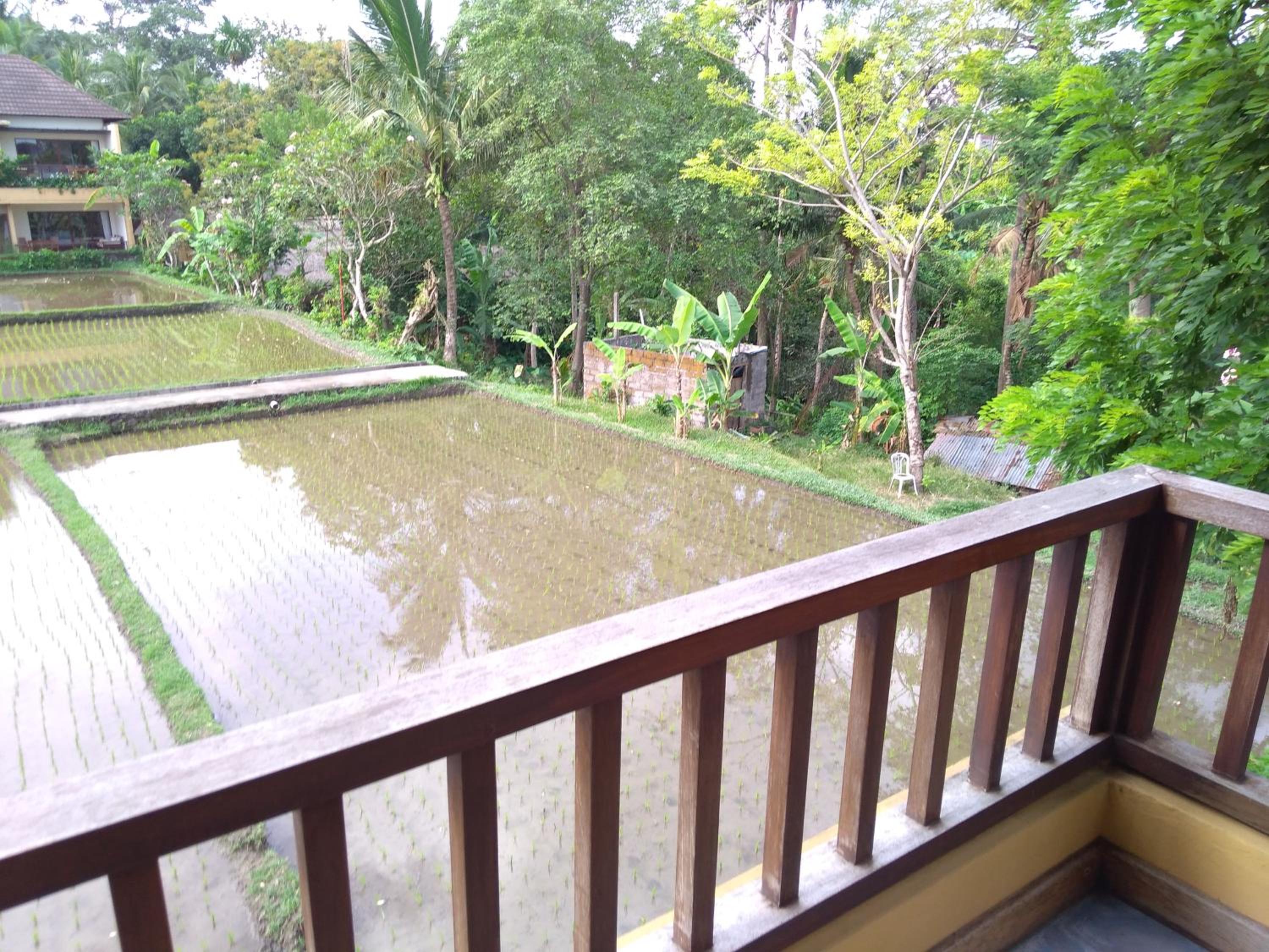 Superior Double or Twin Room - Photo 10