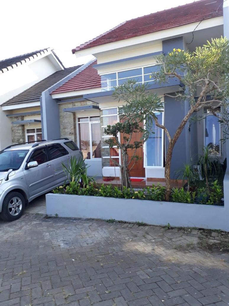 Villa - Photo 4