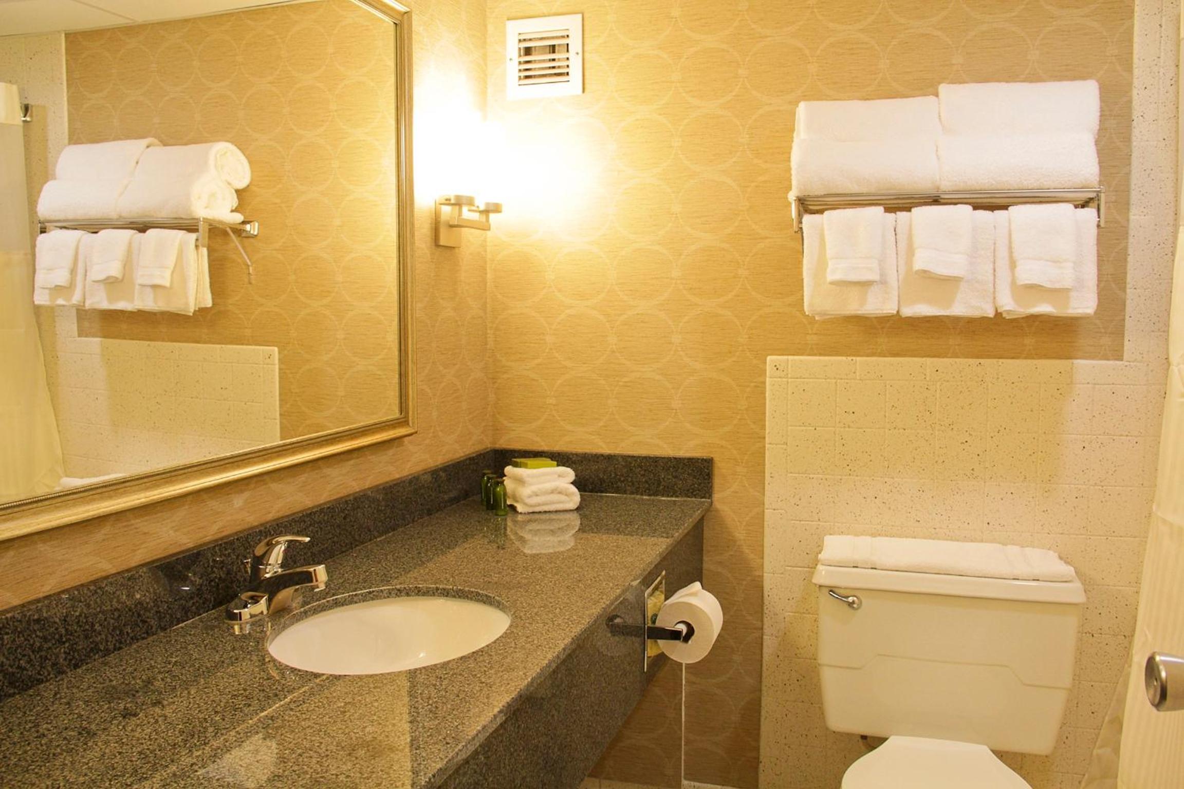 Business King Room - Photo 3