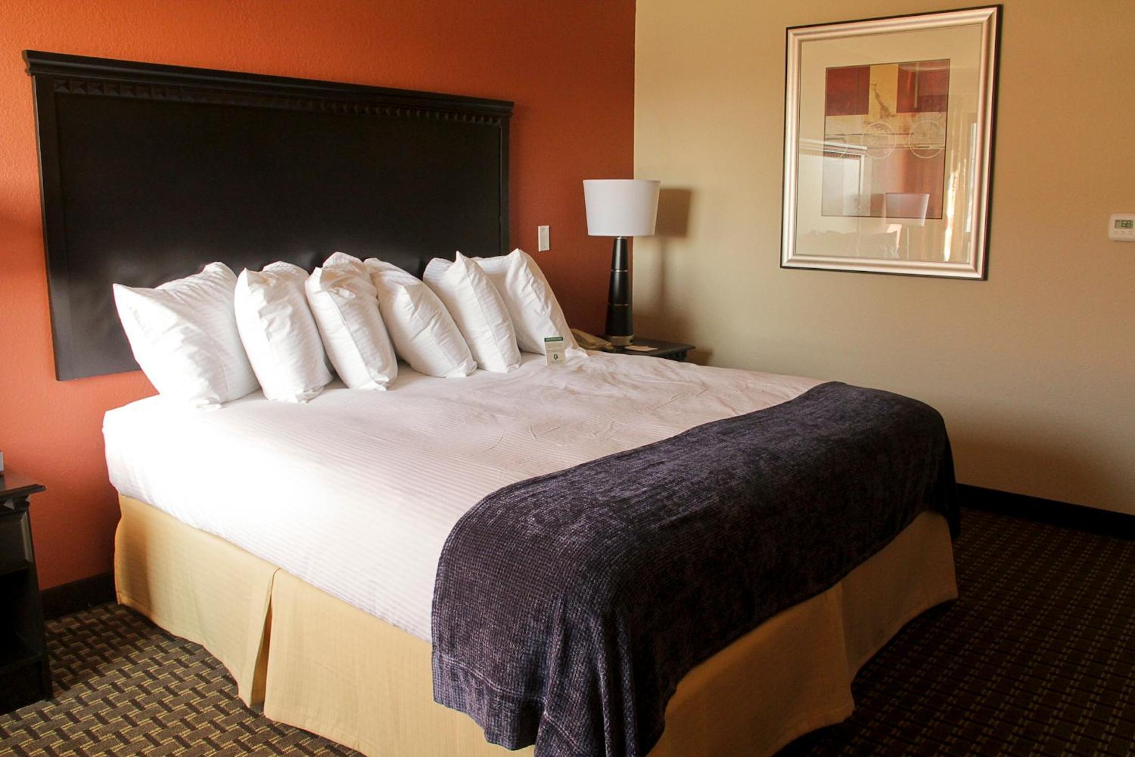 Business King Room - Photo 5