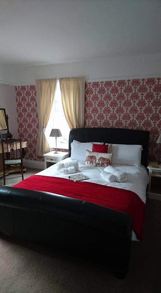 King Room photo 2