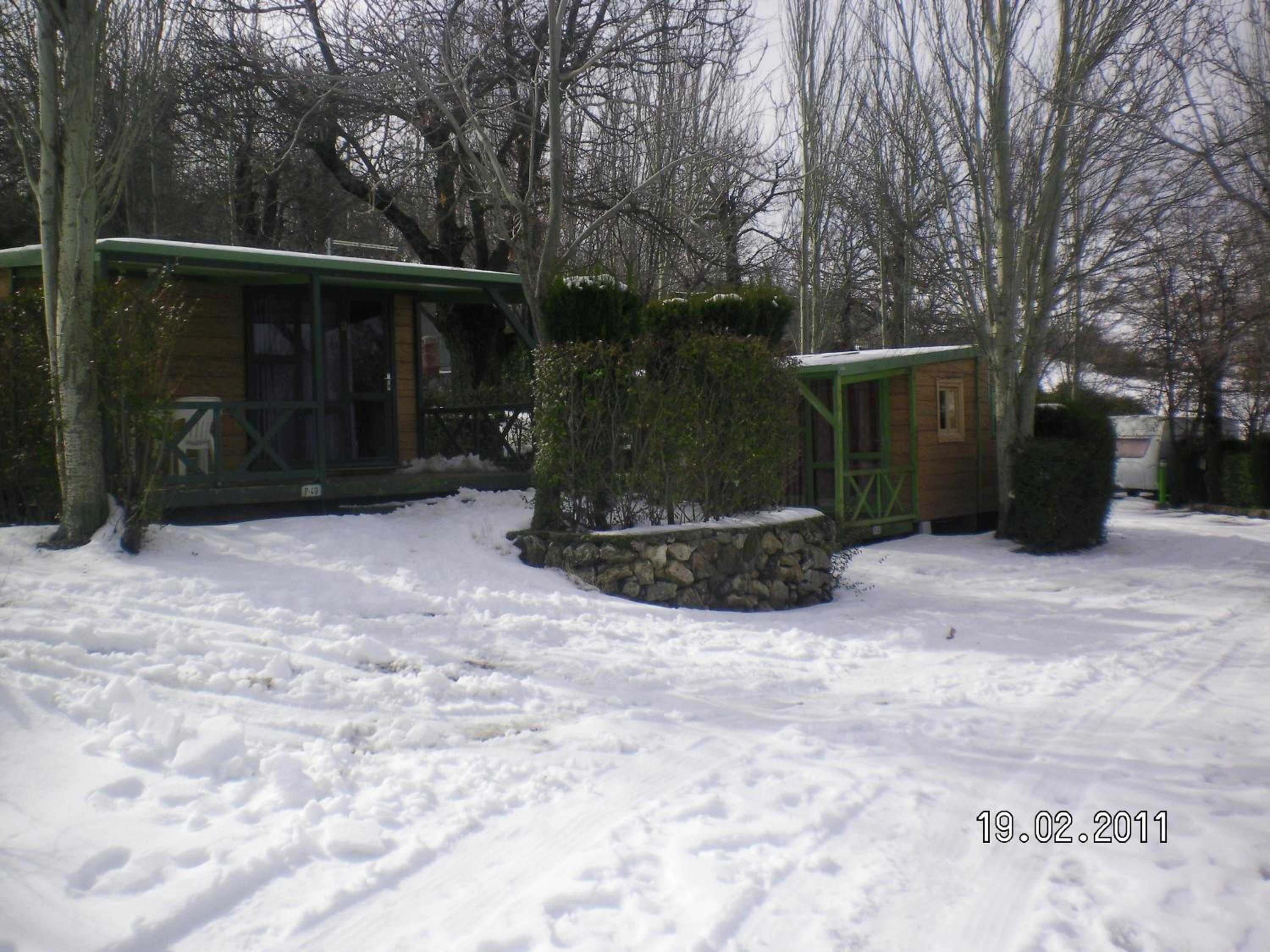 Bungalow (4 Adults) - Photo 9