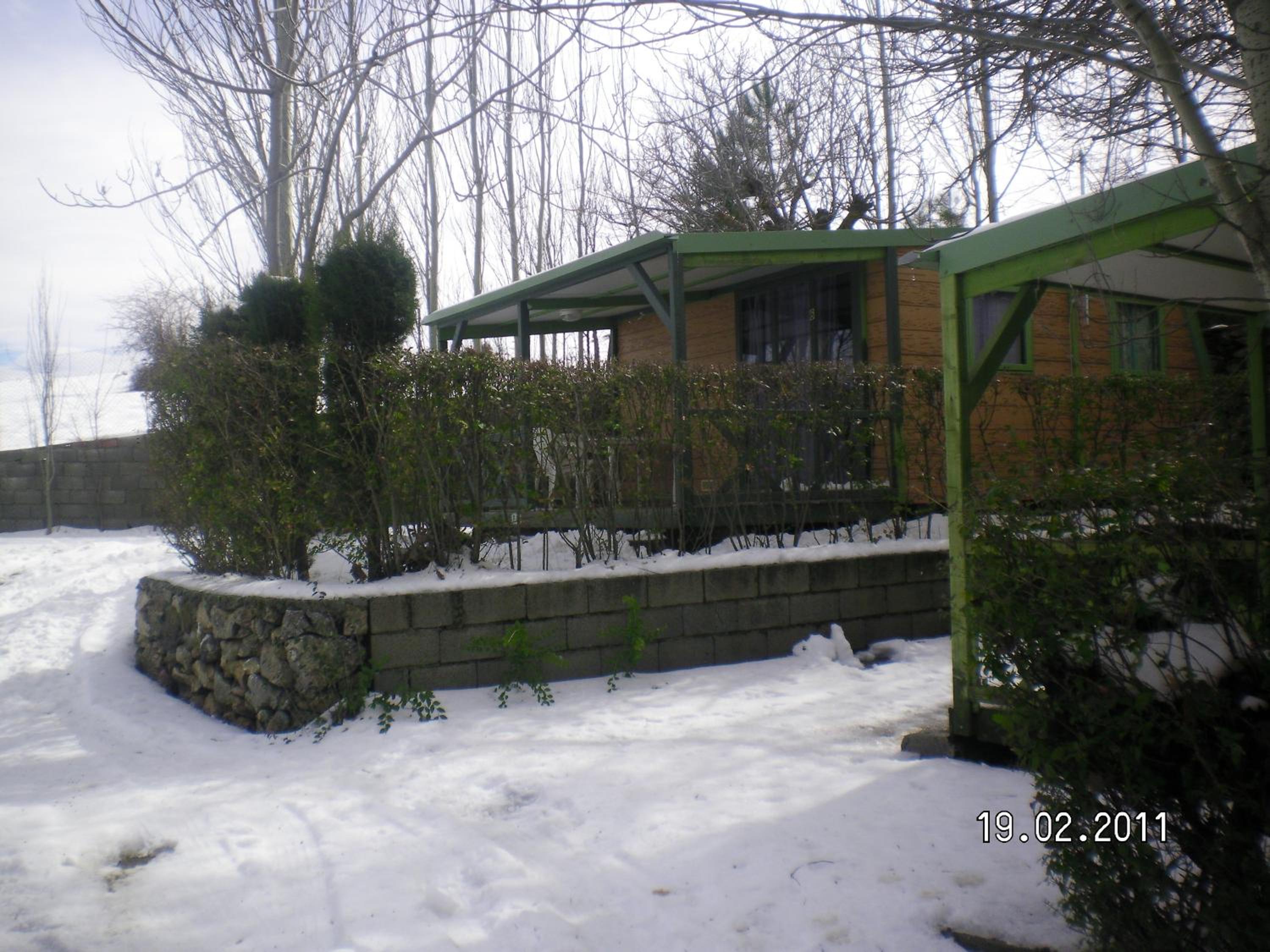 Bungalow (4 Adults) - Photo 7