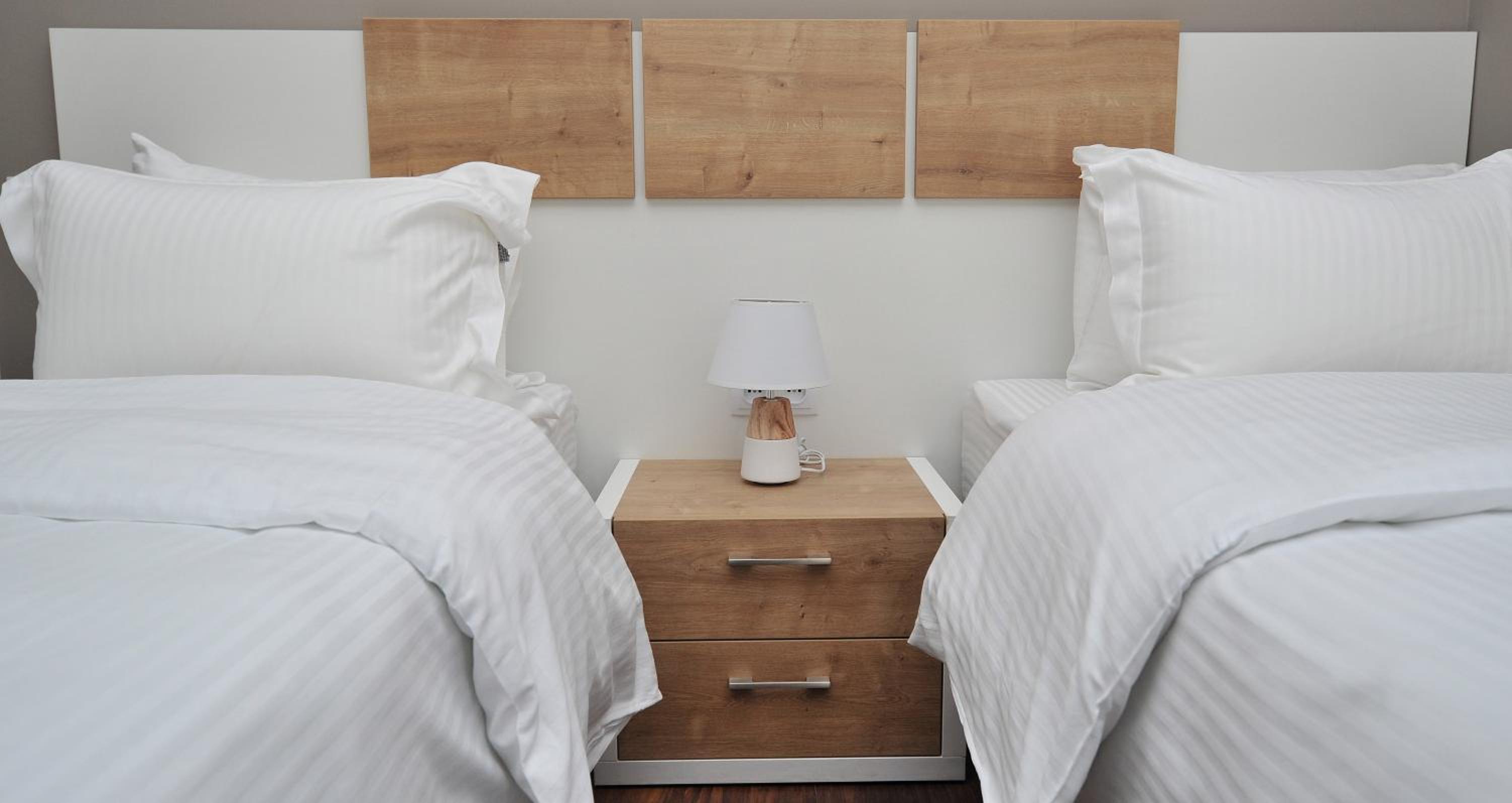 Twin Room photo 2