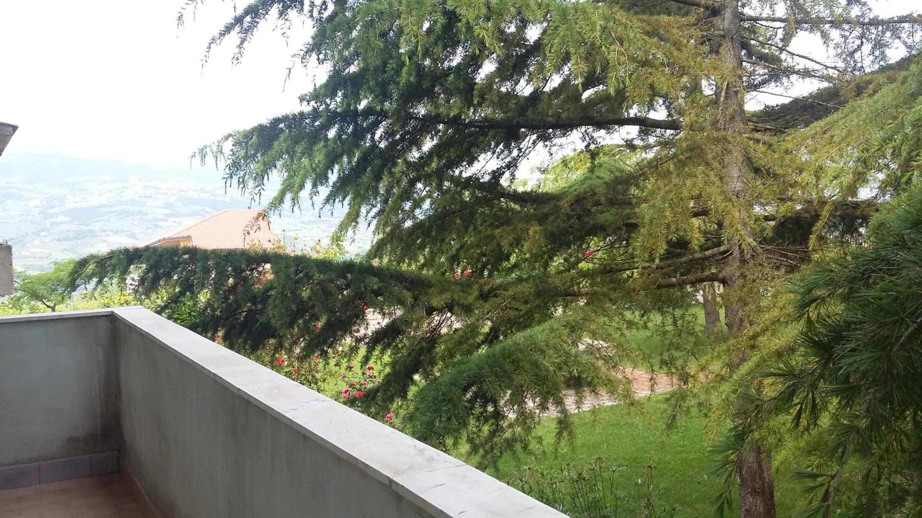 Double Room with Garden View photo 3
