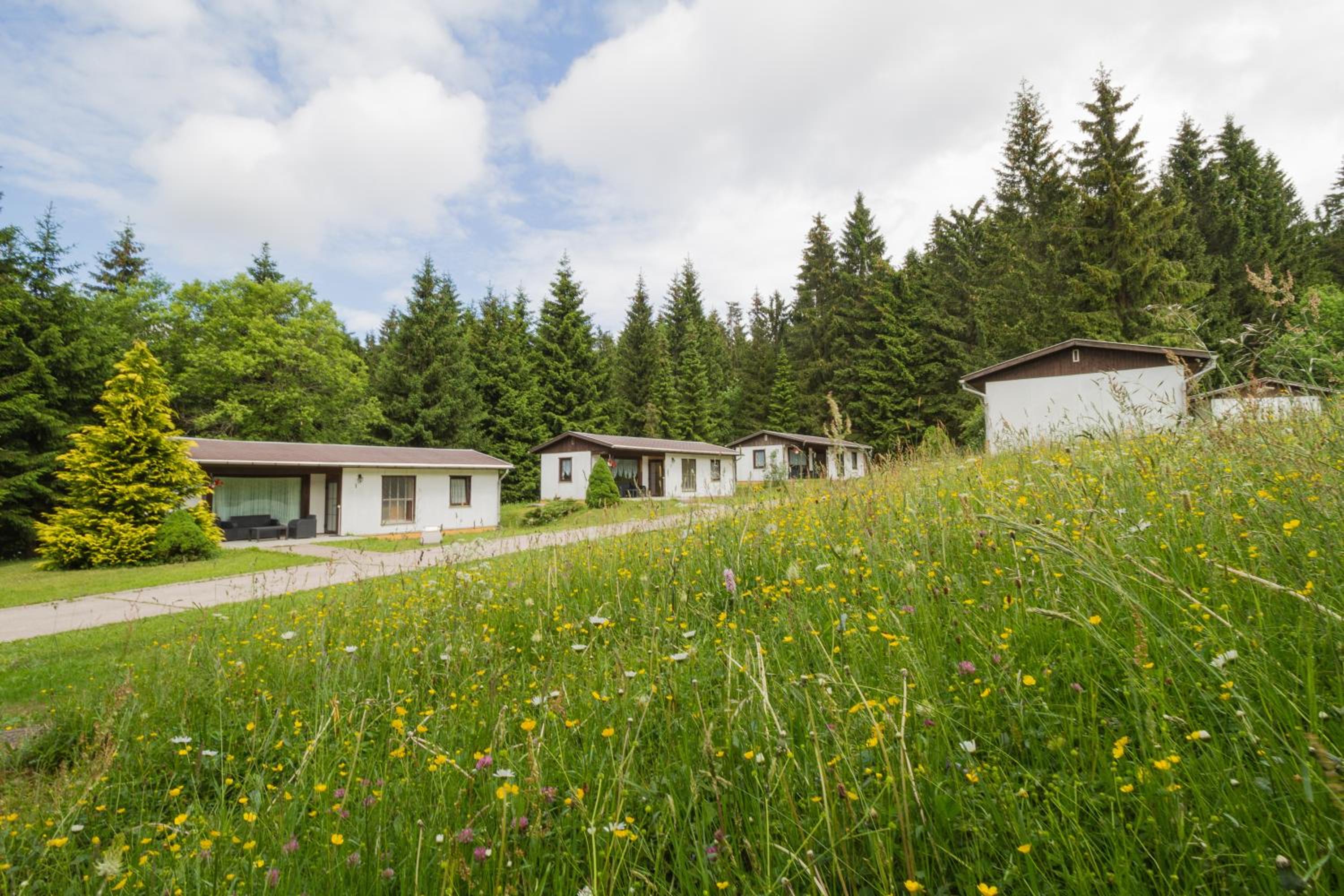 Bungalow (2-3 Adults) photo 2