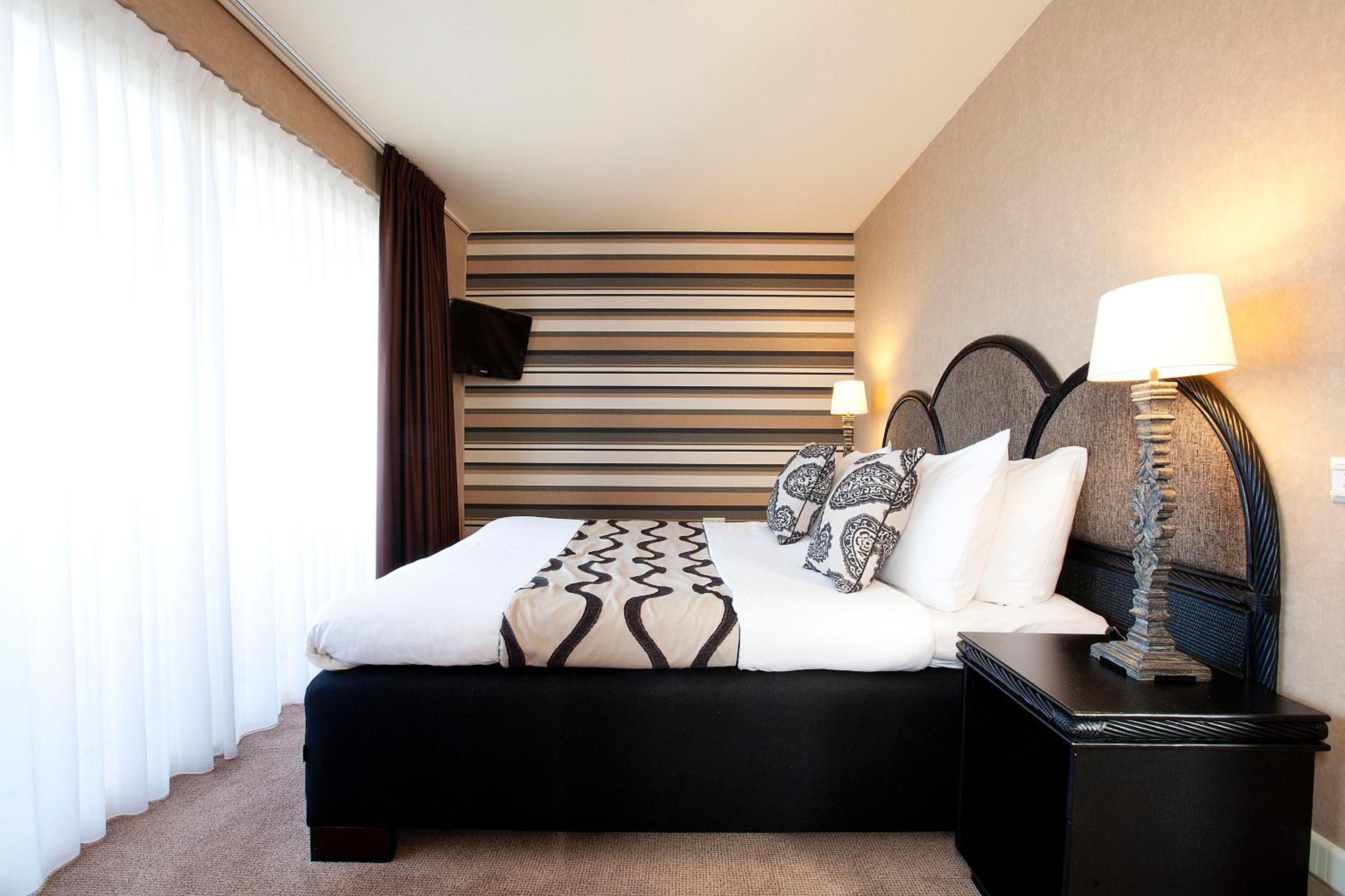Suite - Photo 3