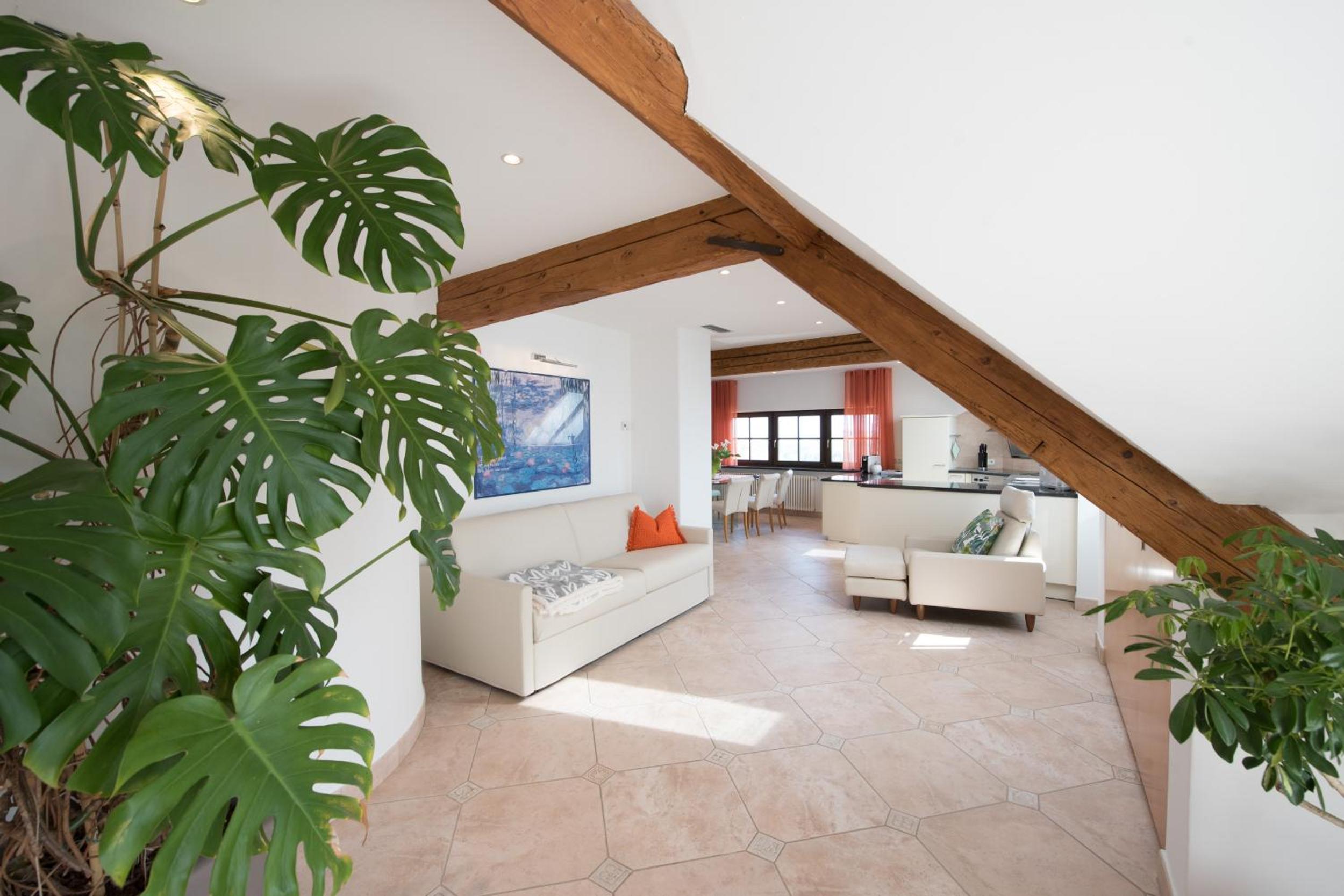 Deluxe Apartment