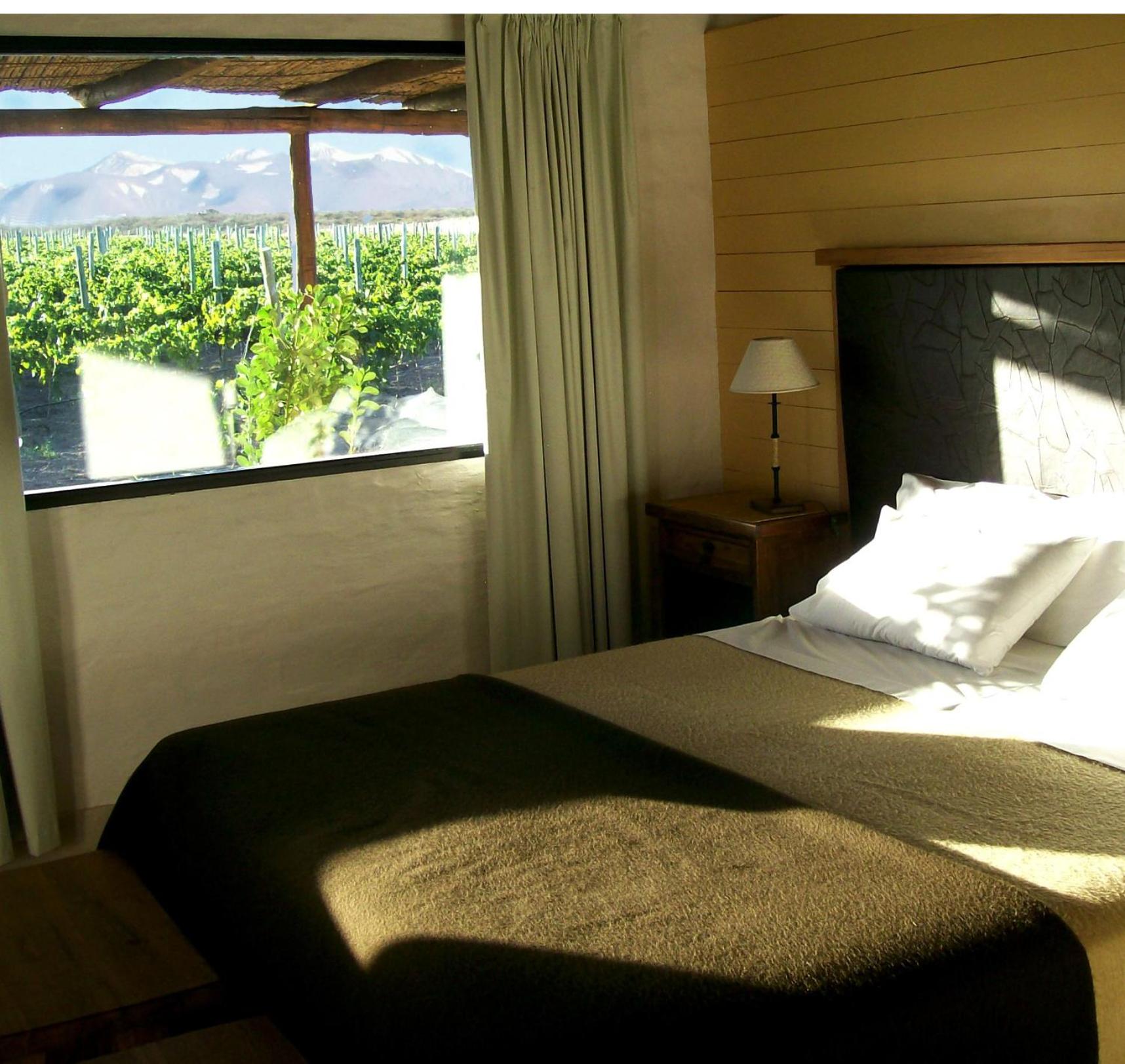 Standard  Double Room photo 2