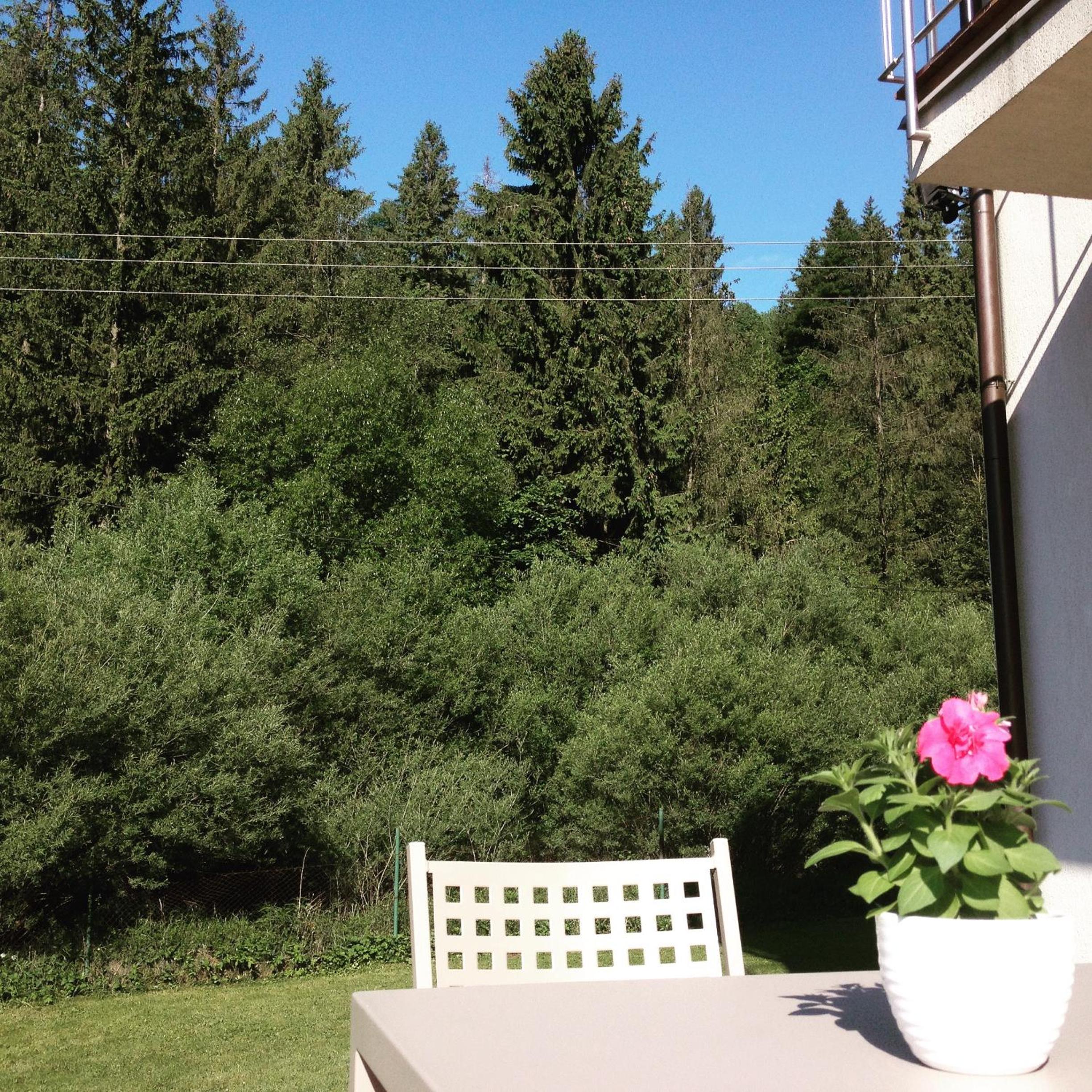 Double Room with Garden View - Photo 10