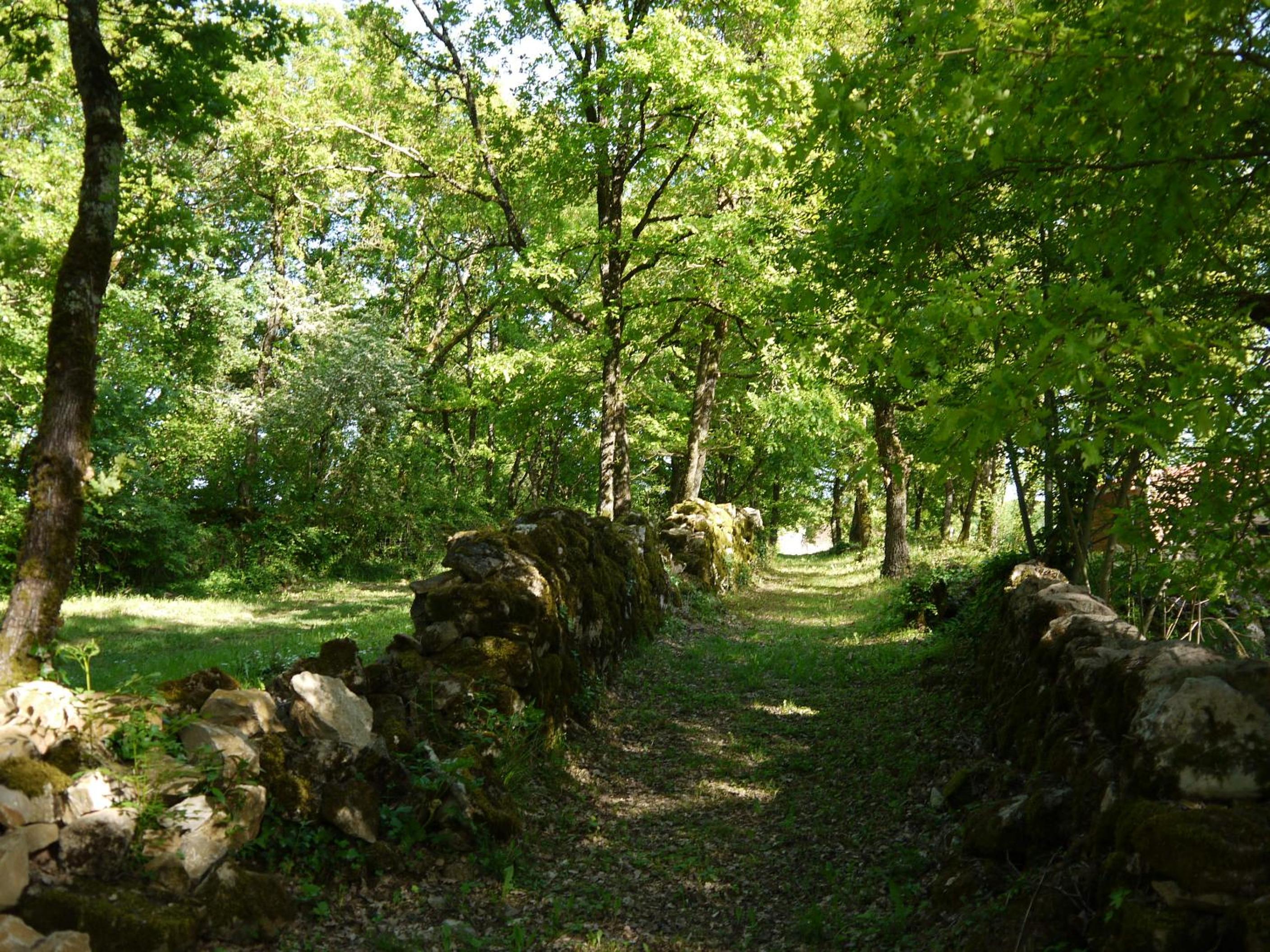 Holiday Home photo 1