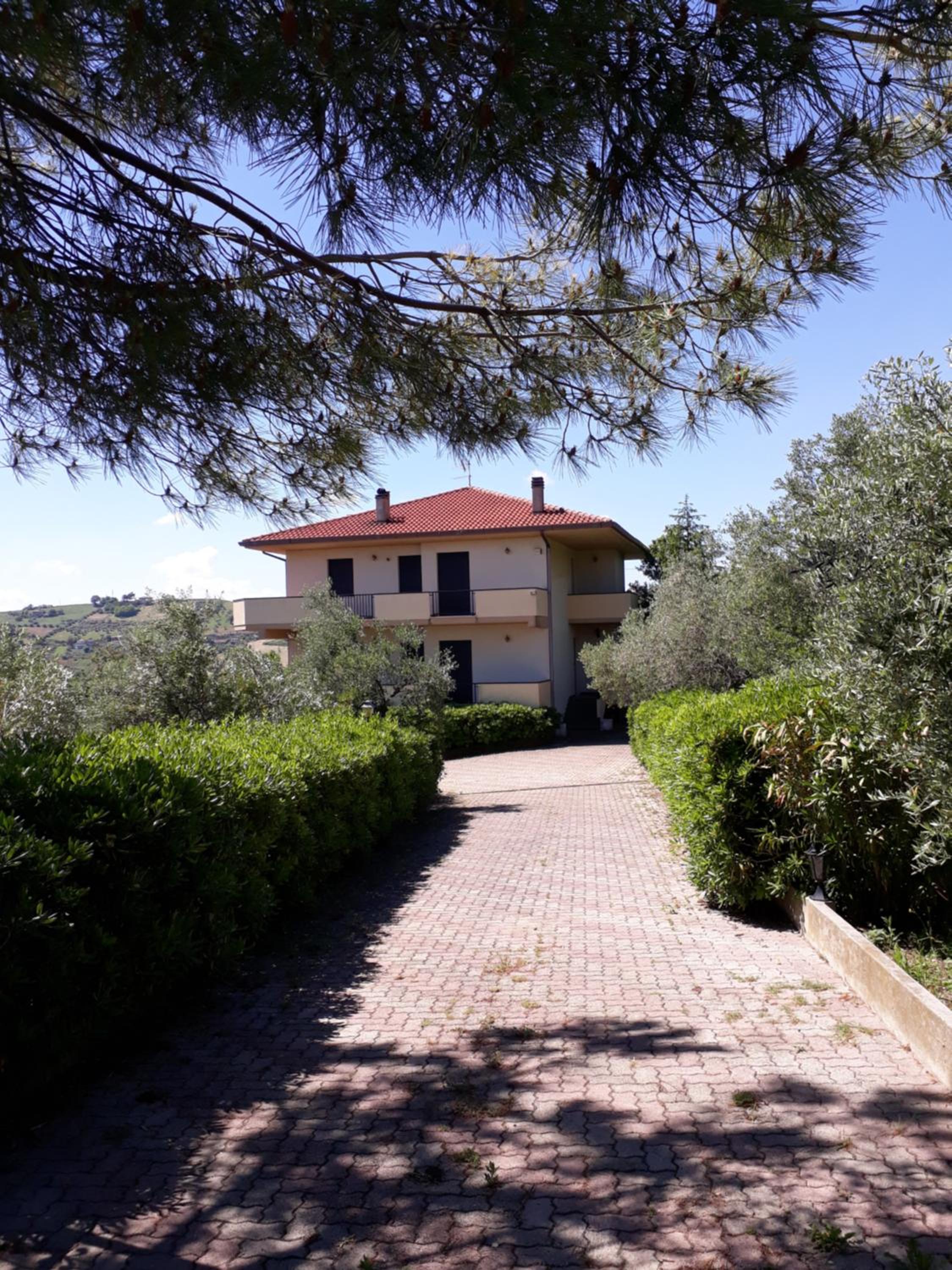 Villa with Sea View photo 2