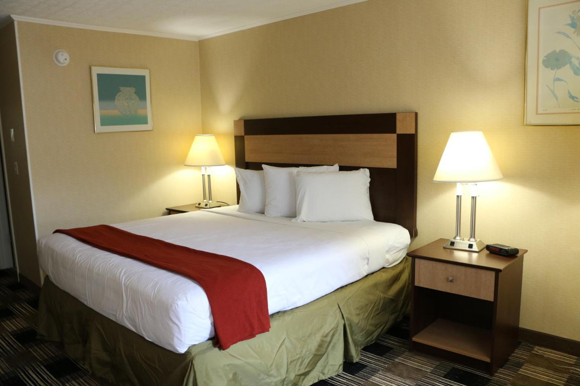 King Room with Mountain View