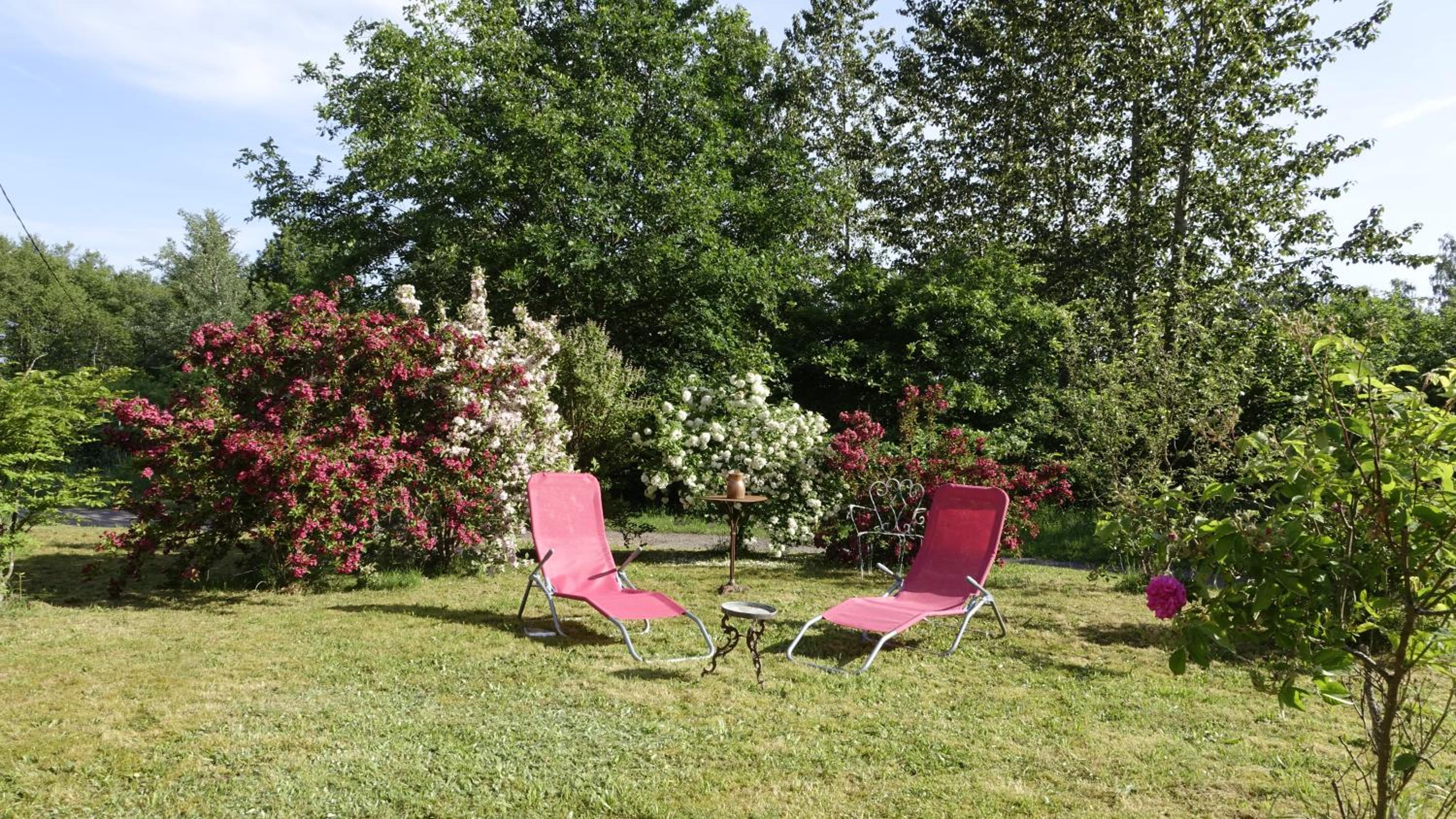 Family Room with Garden View photo 1